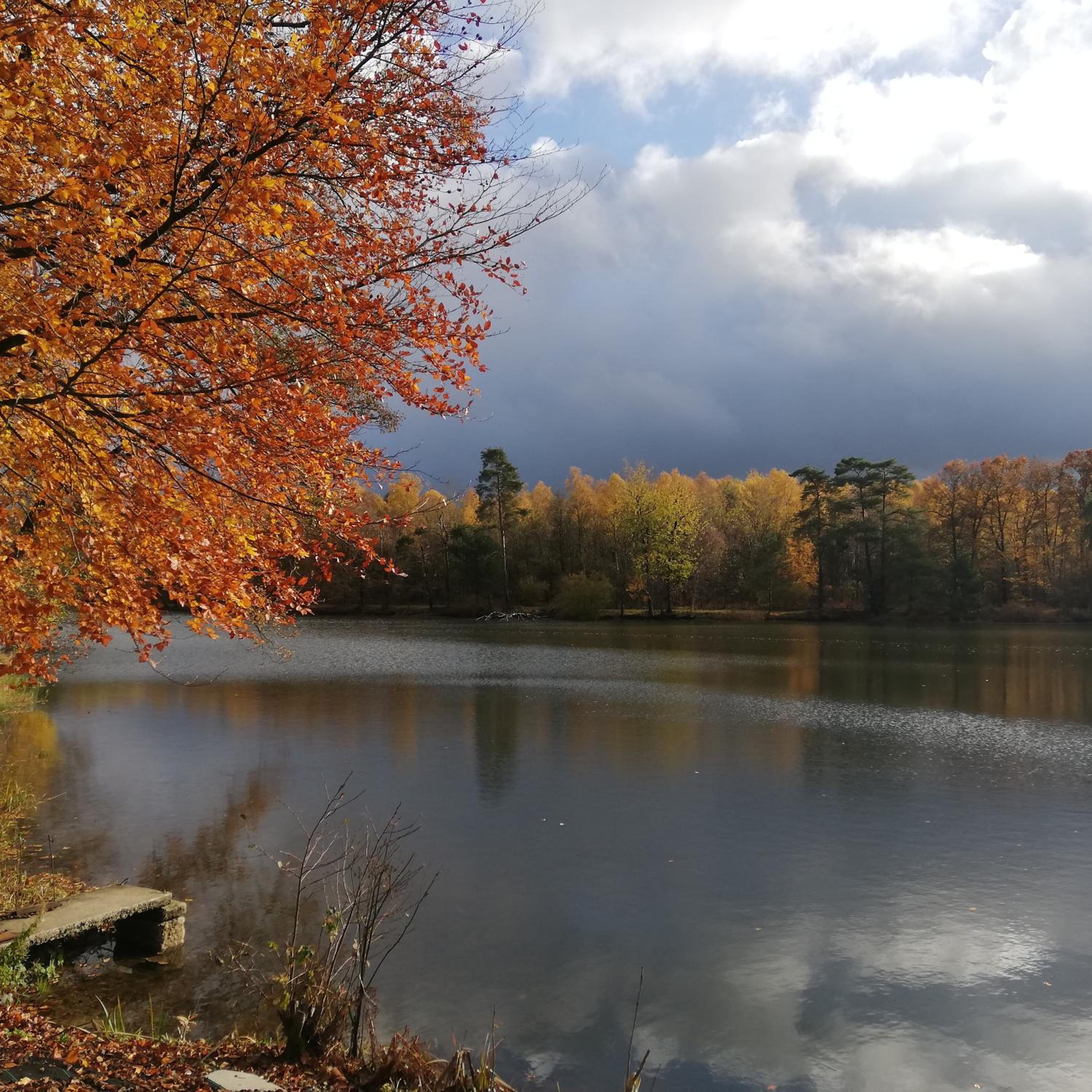 La cabane sur l'eau