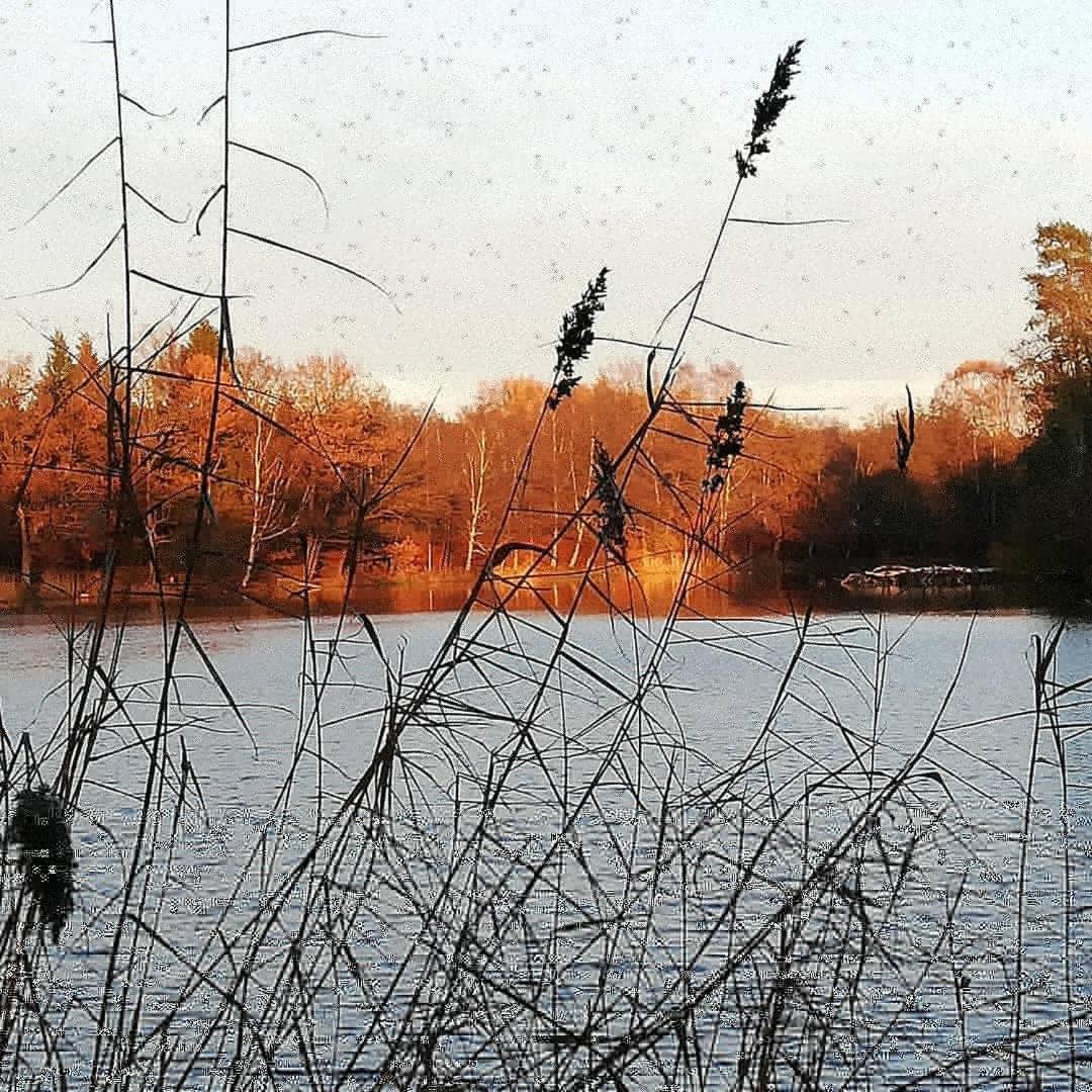 La cabane sur l'eau