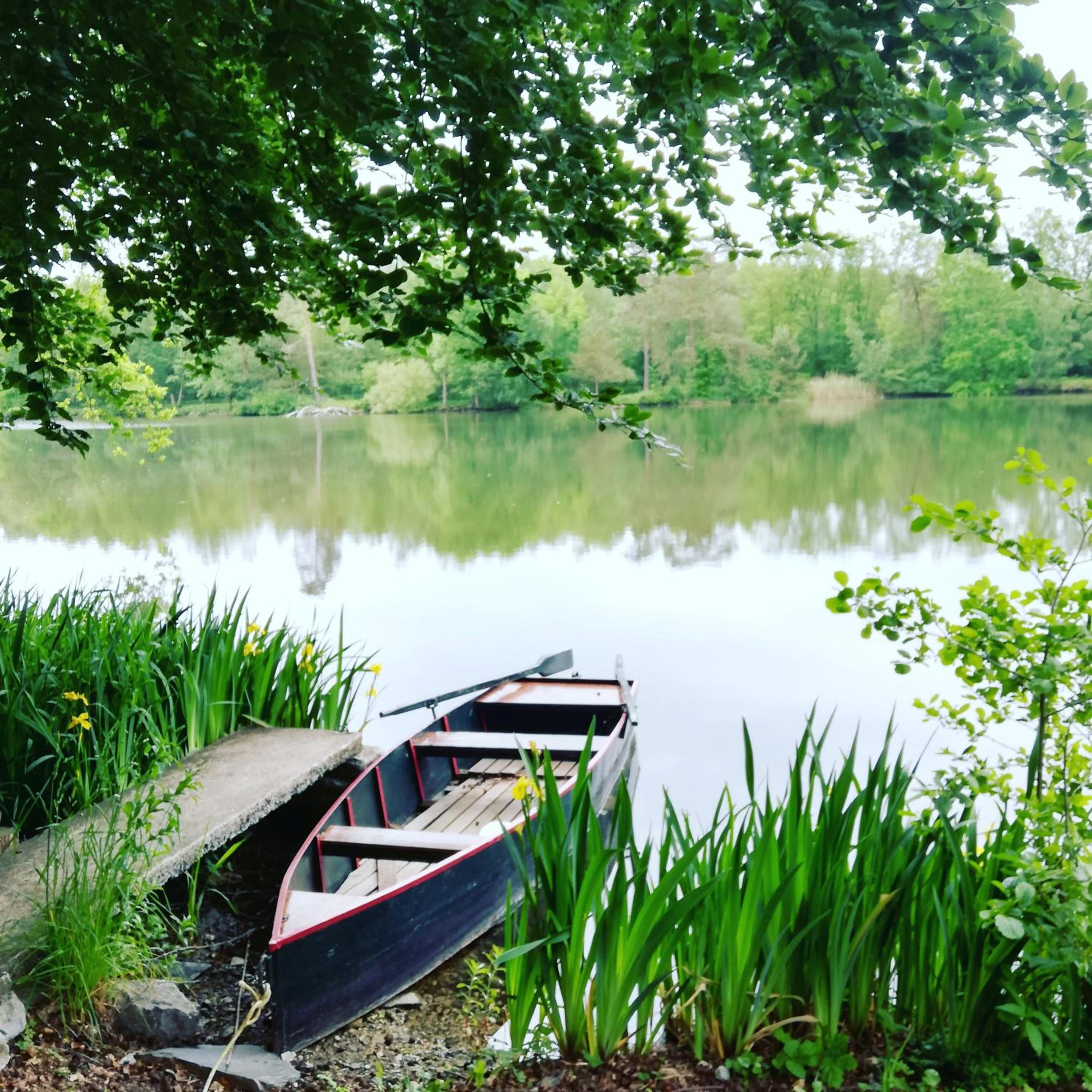 La cabane sur l'eau