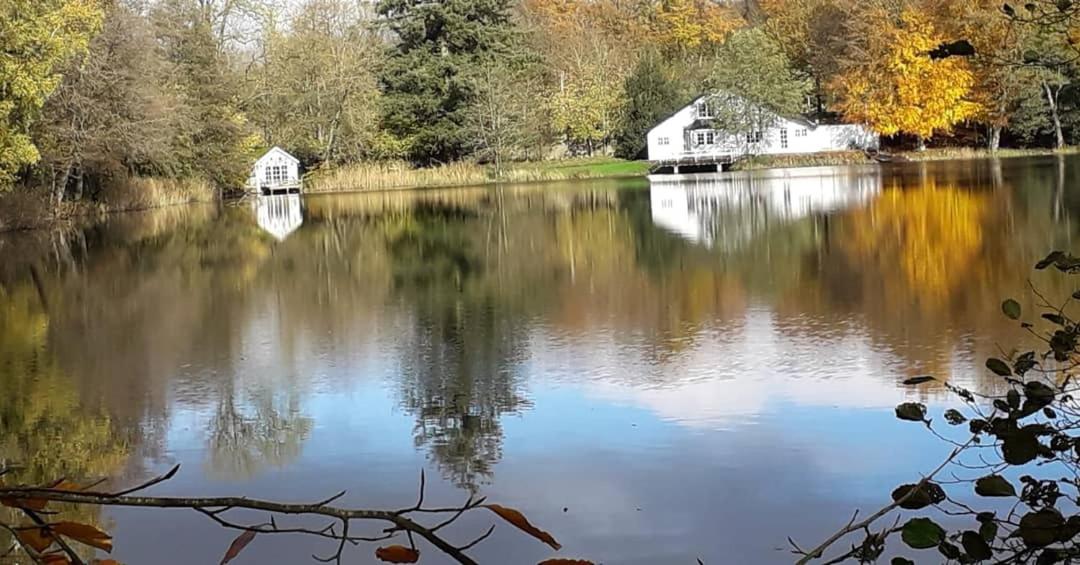 La cabane sur l'eau