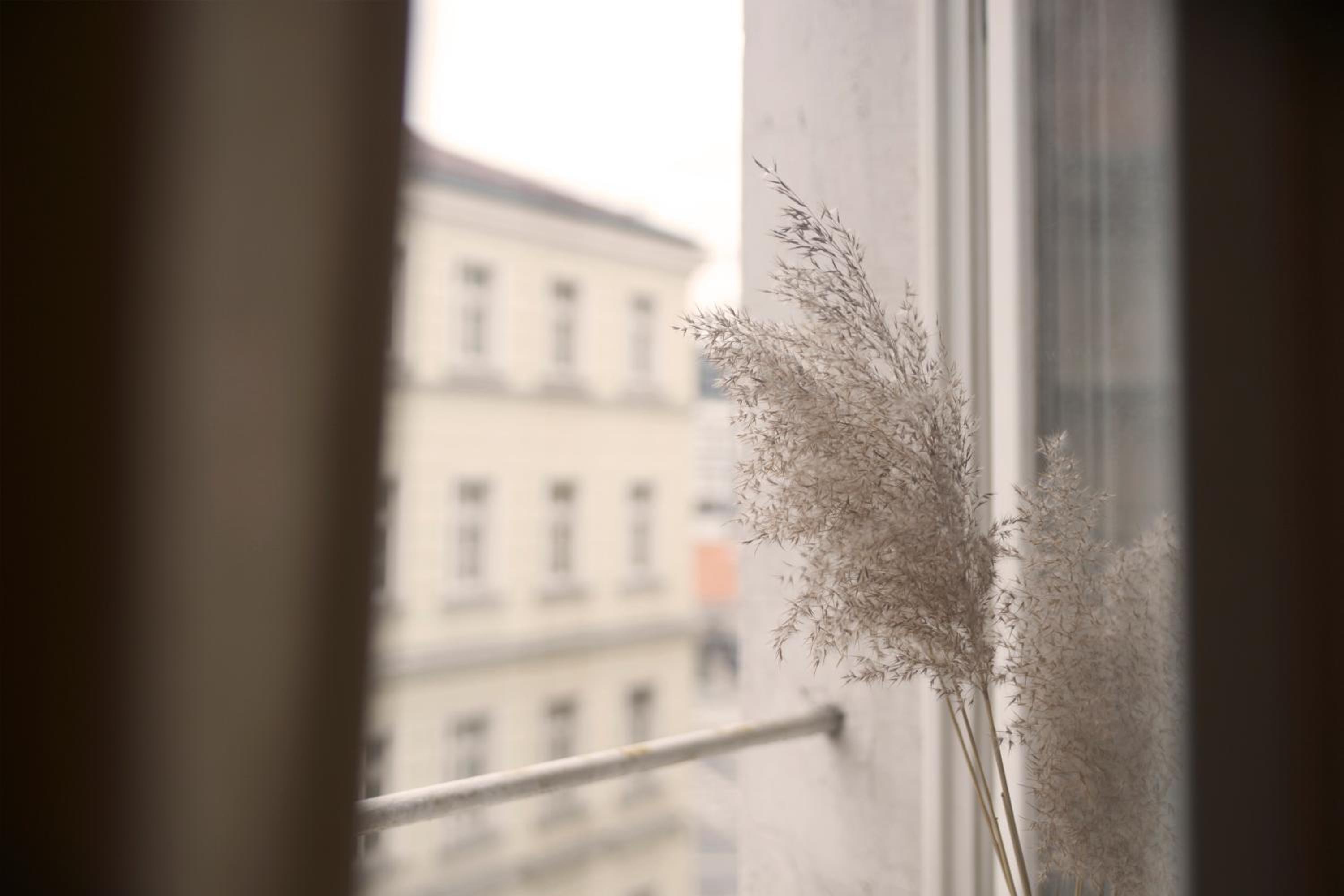 By the River and City Center - comfortable rooms