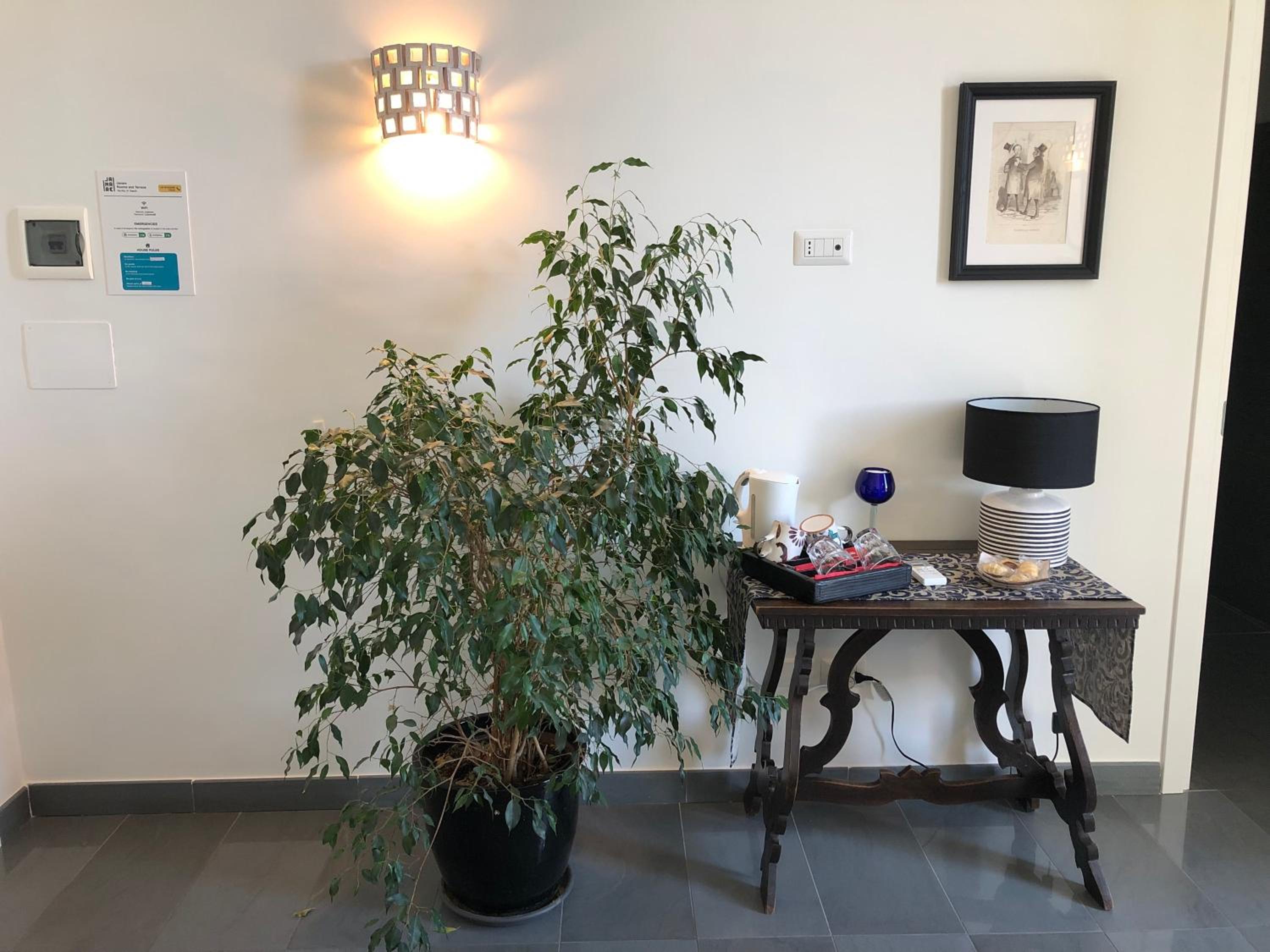 Janare - Rooms & Terrace