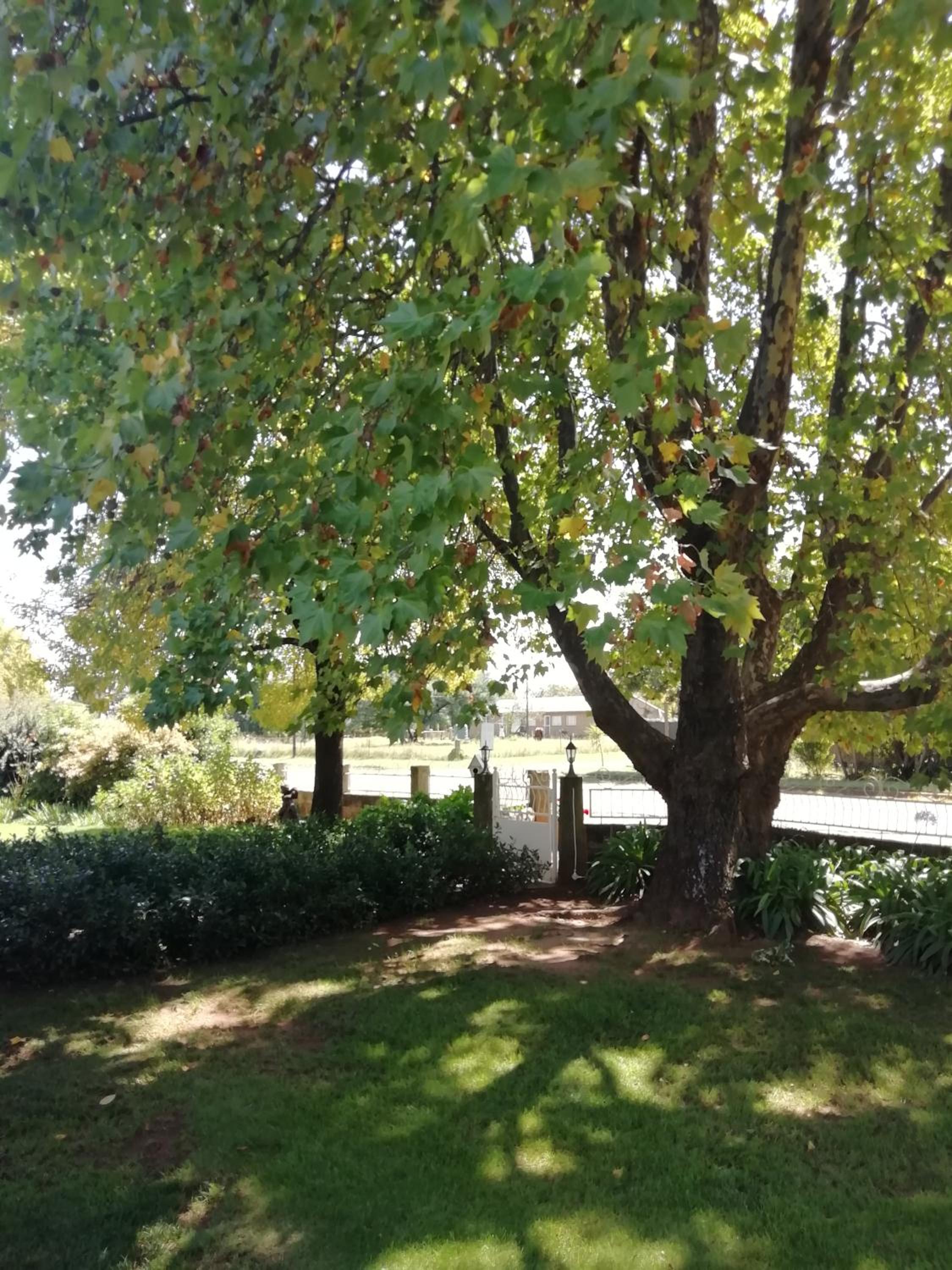 Photo 28