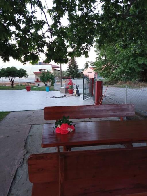 Photo 27