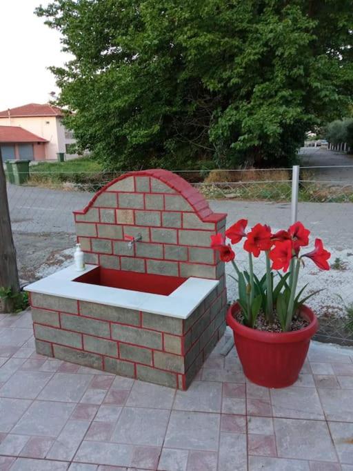 Photo 26