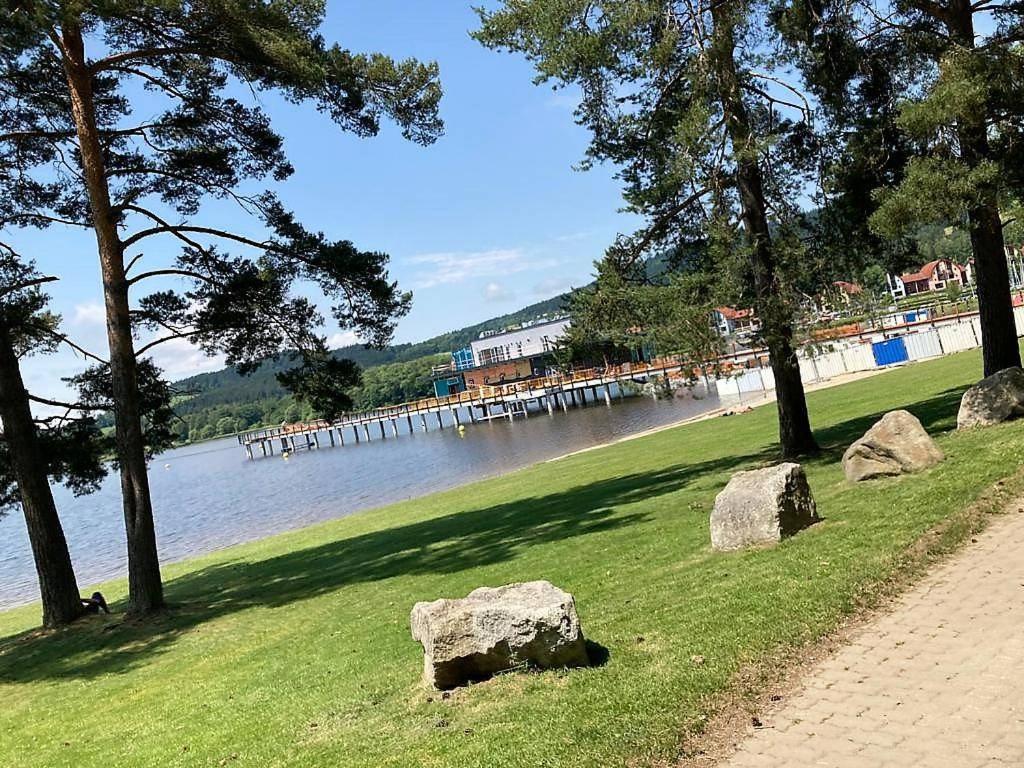 Lipno Bonites