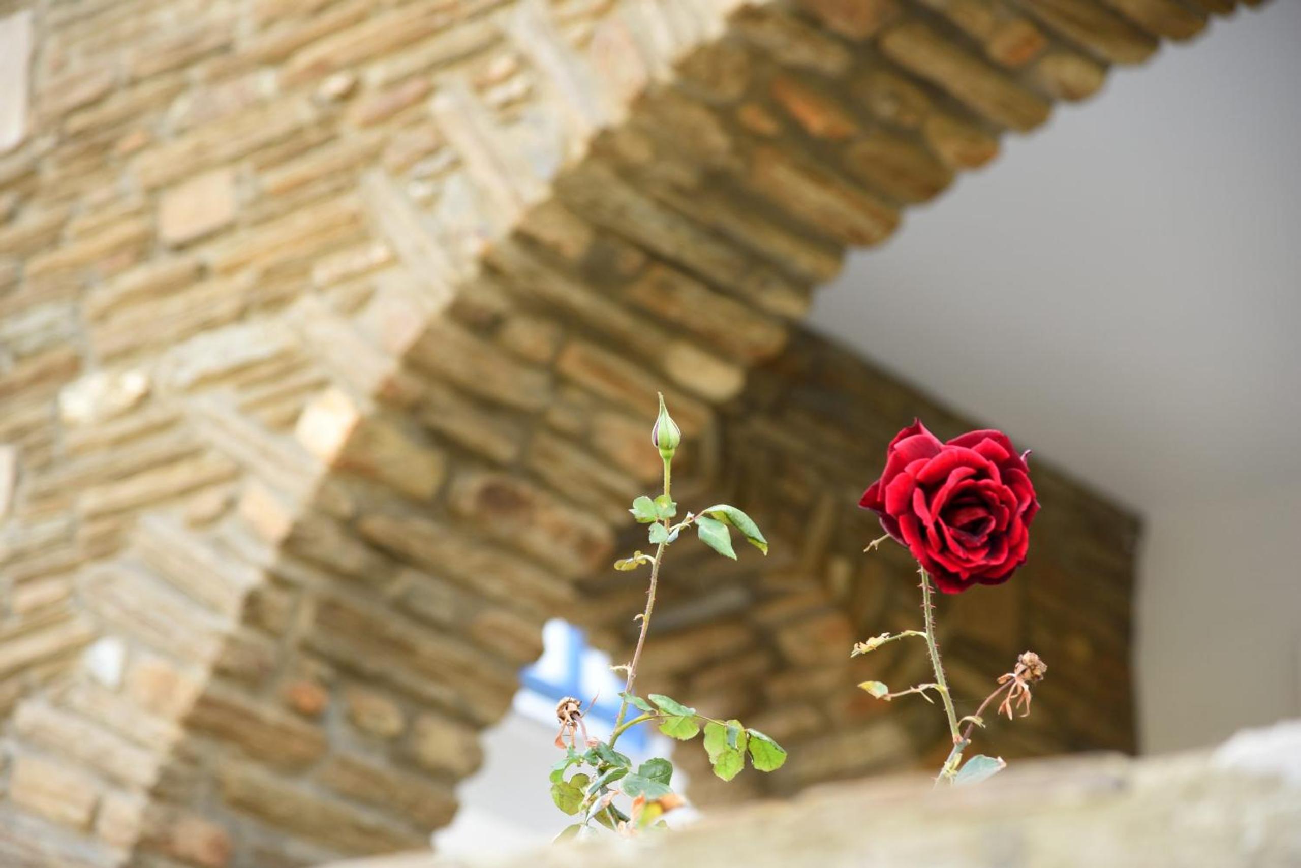 Andros Guesthouses