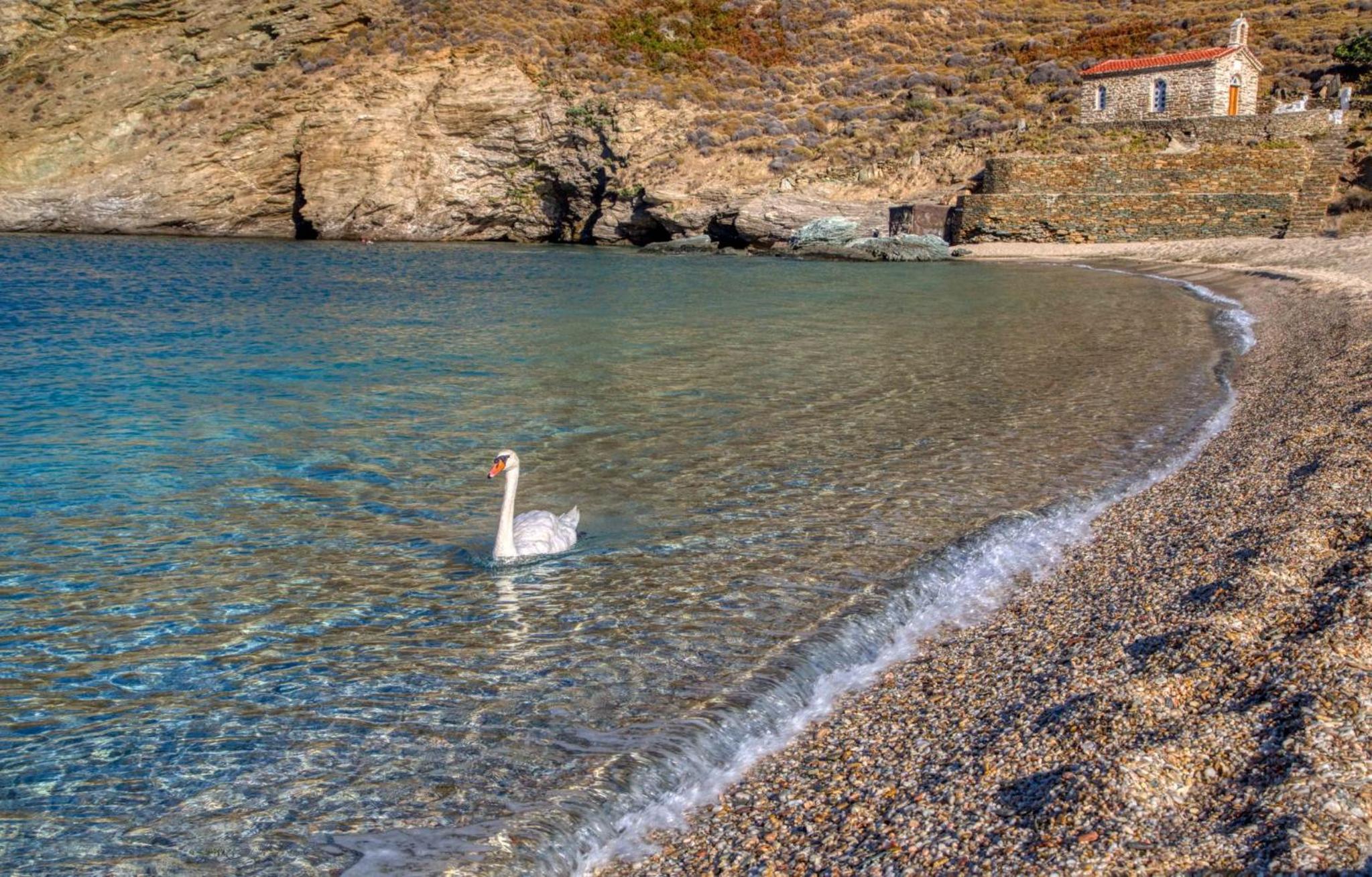 Andros Guesthouses