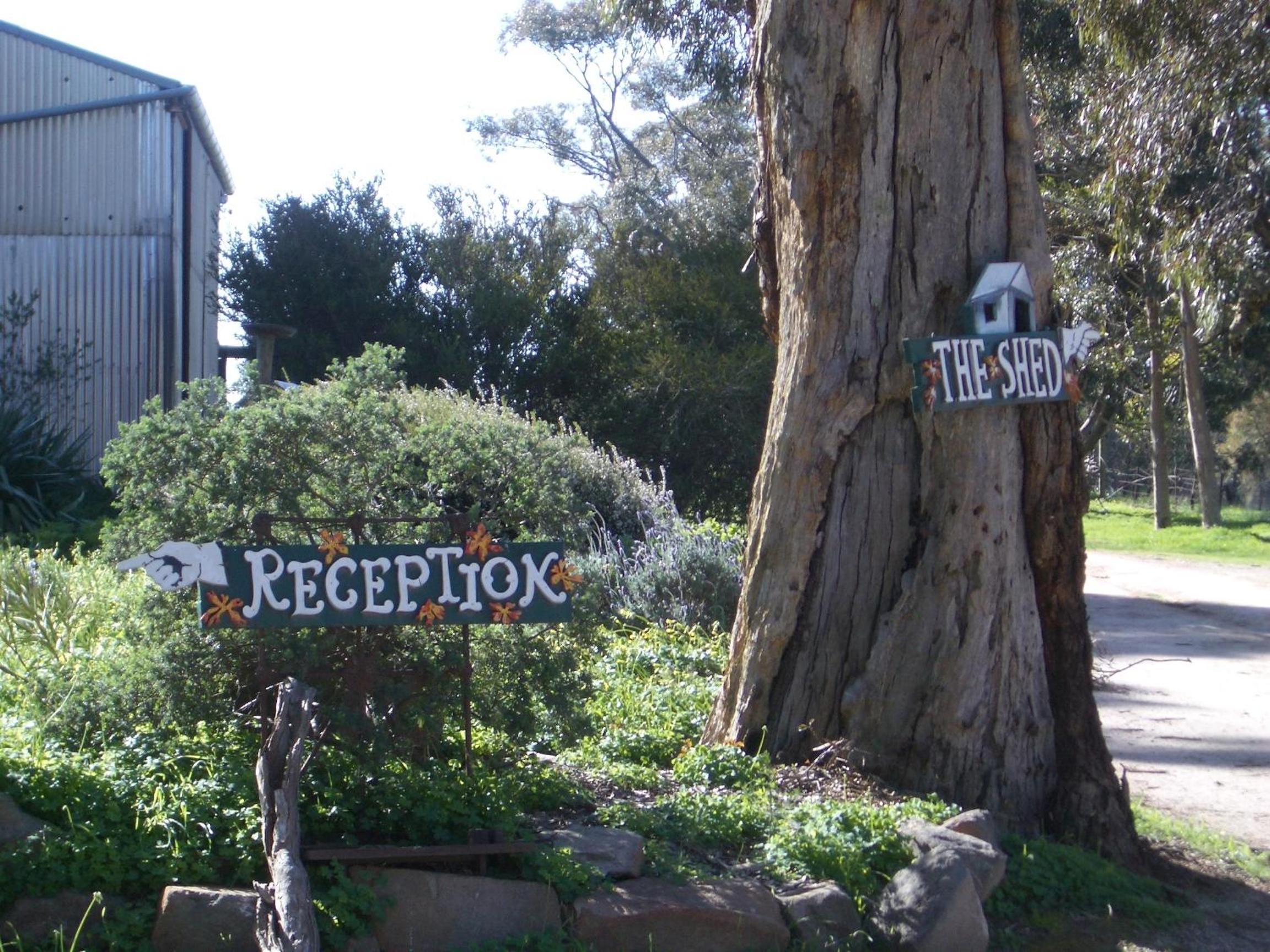 Photo 20