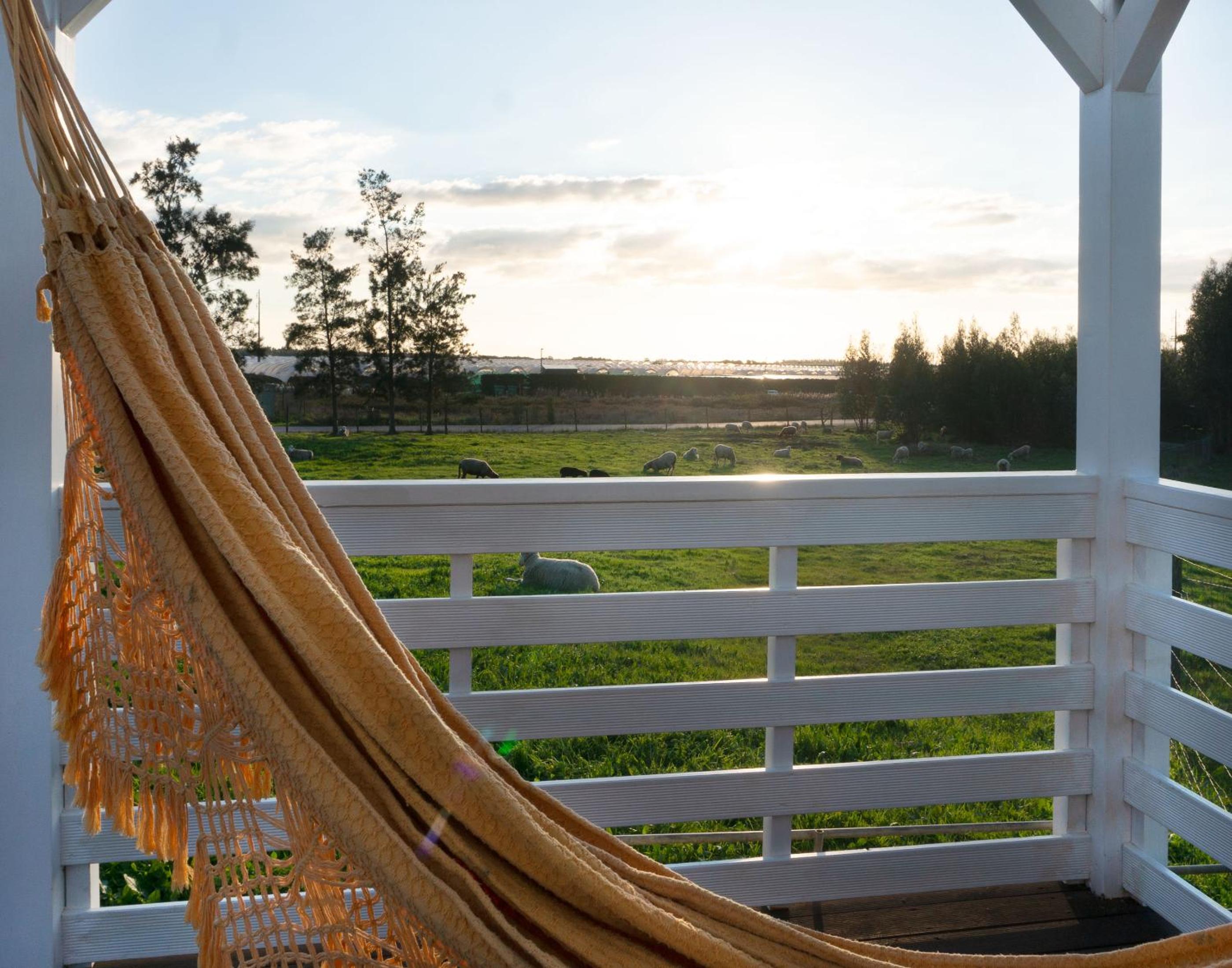 Herdade do Kuanza view 2