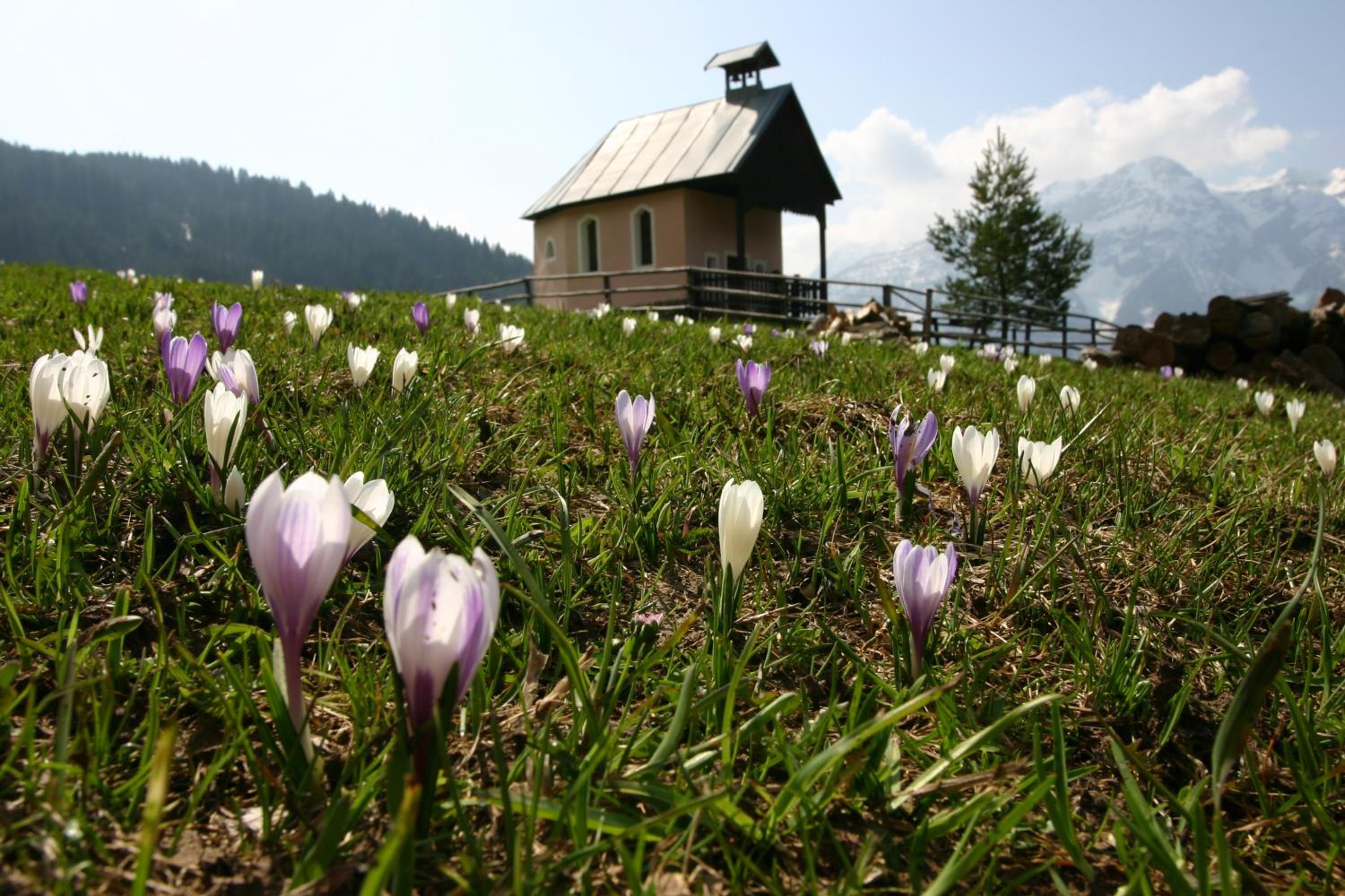 Familienwanderhof Eggeler