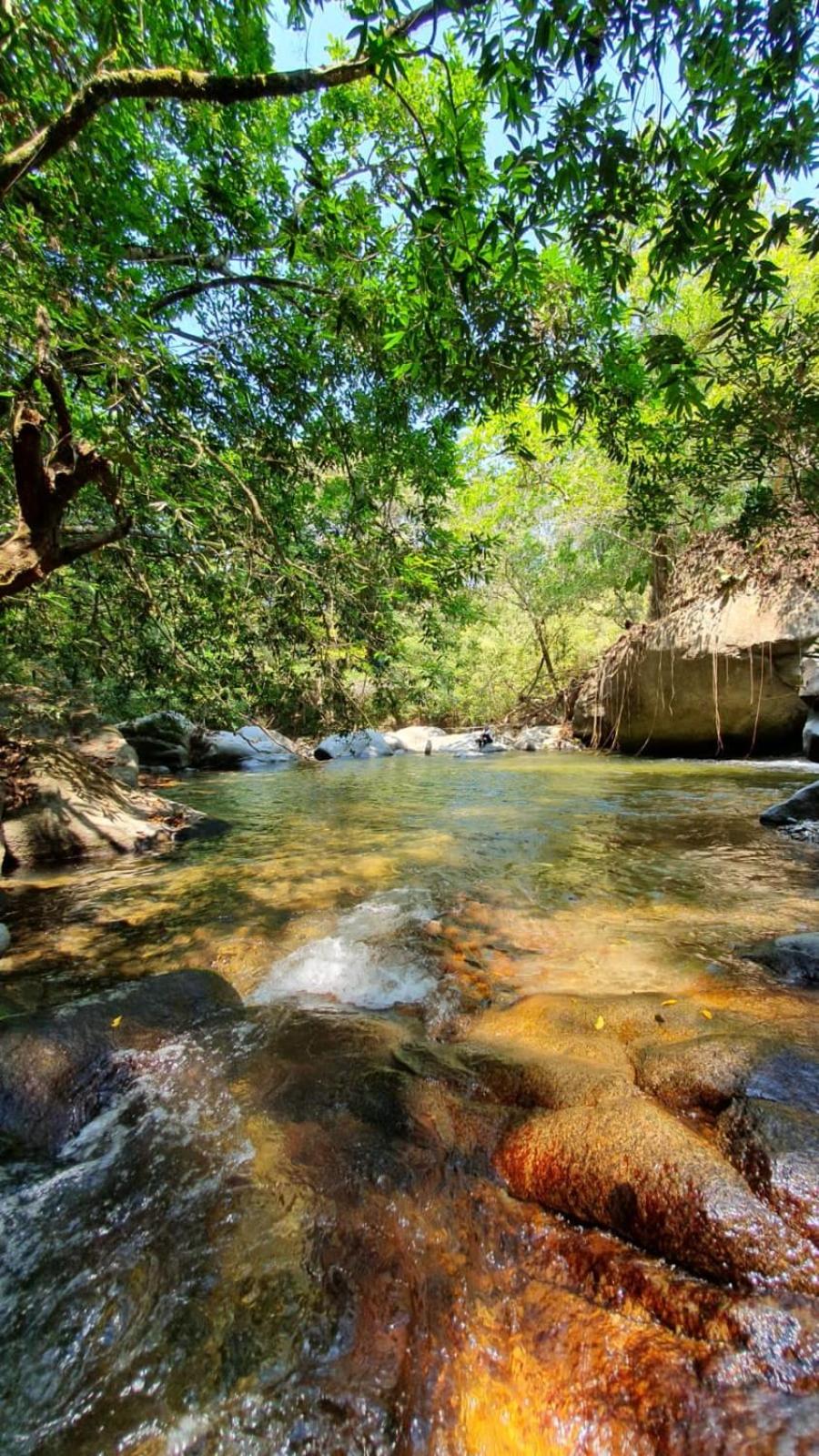 Sierra Jungla