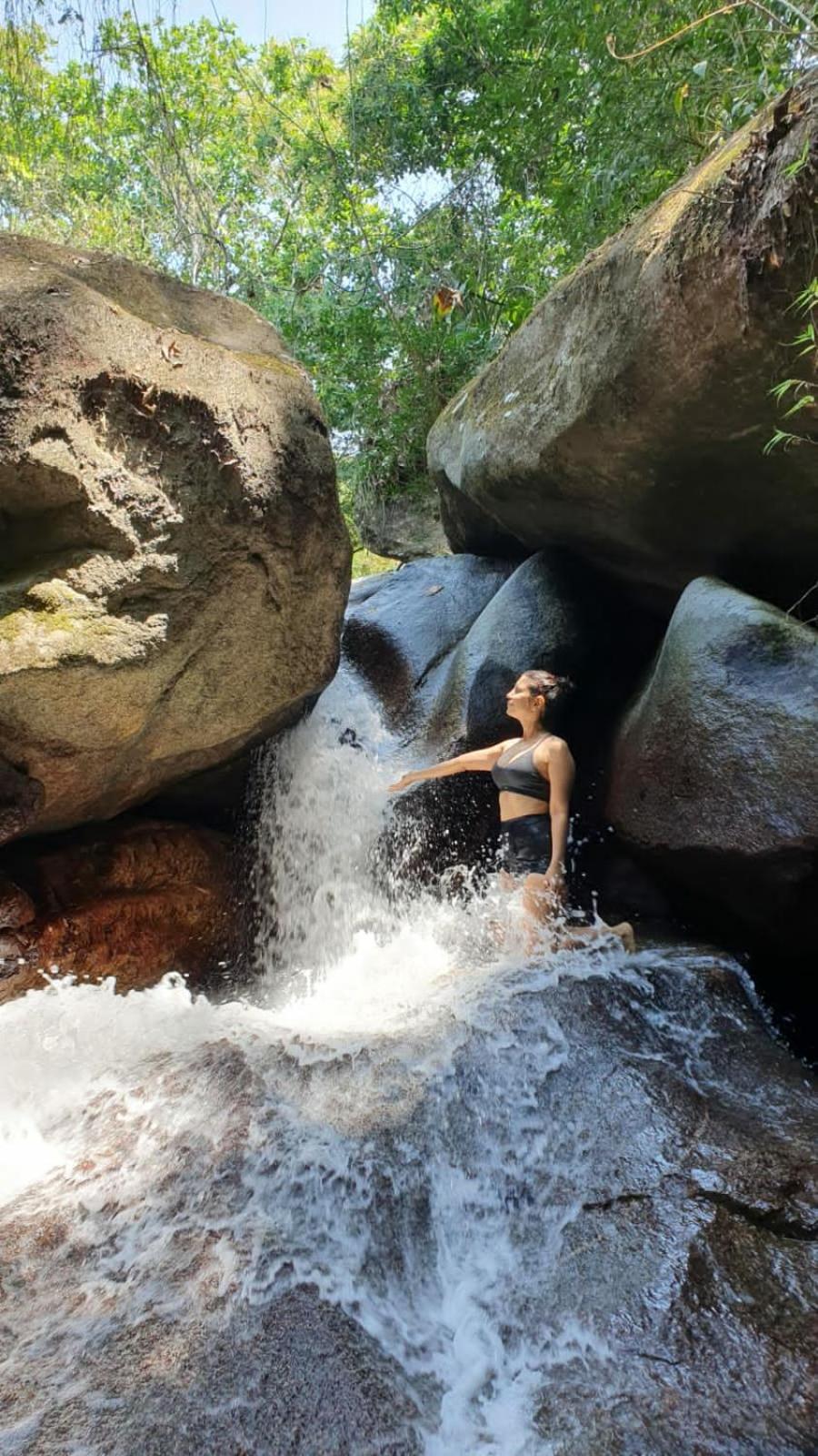 Sierra Jungla