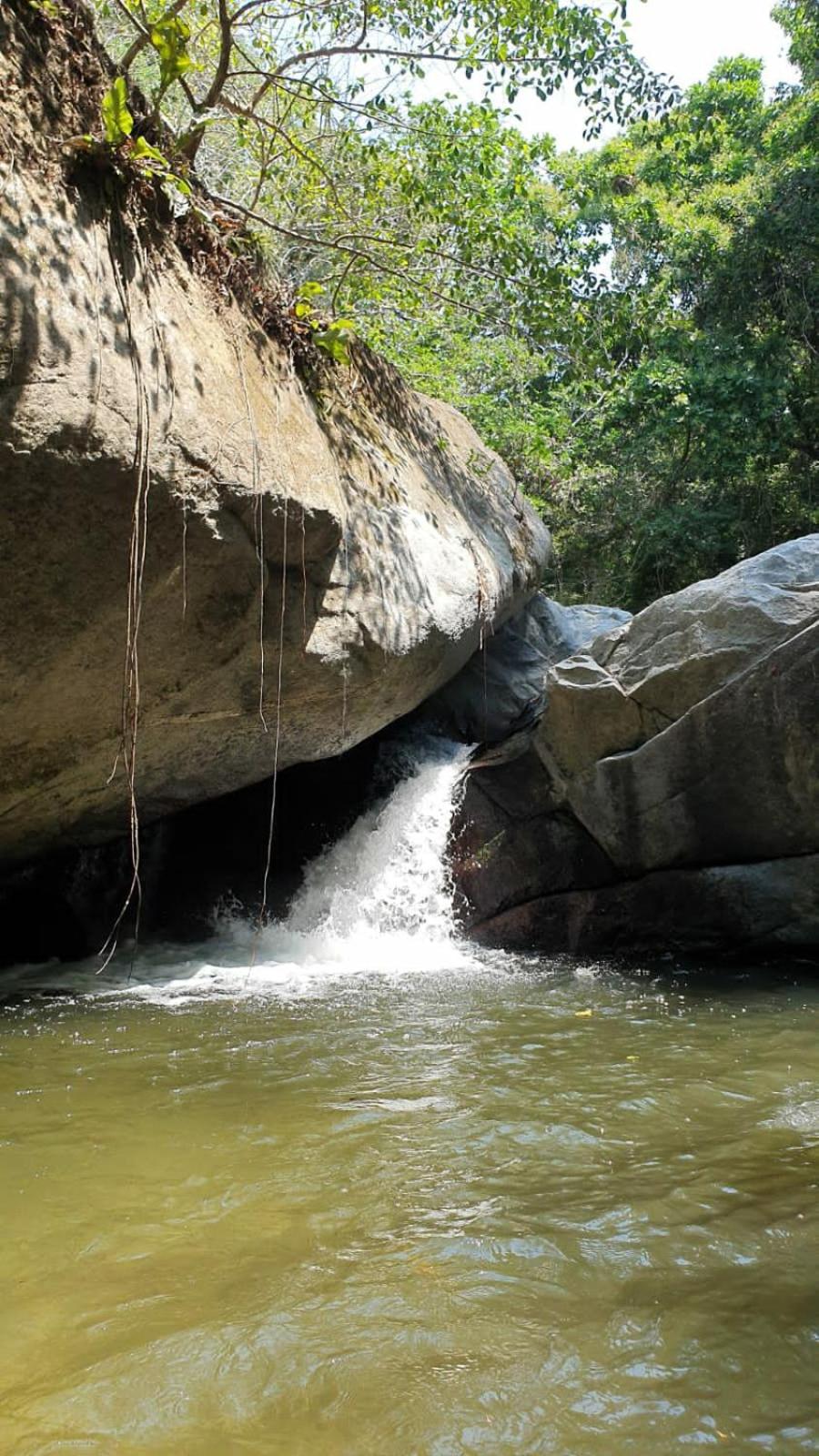 Sierra Jungla