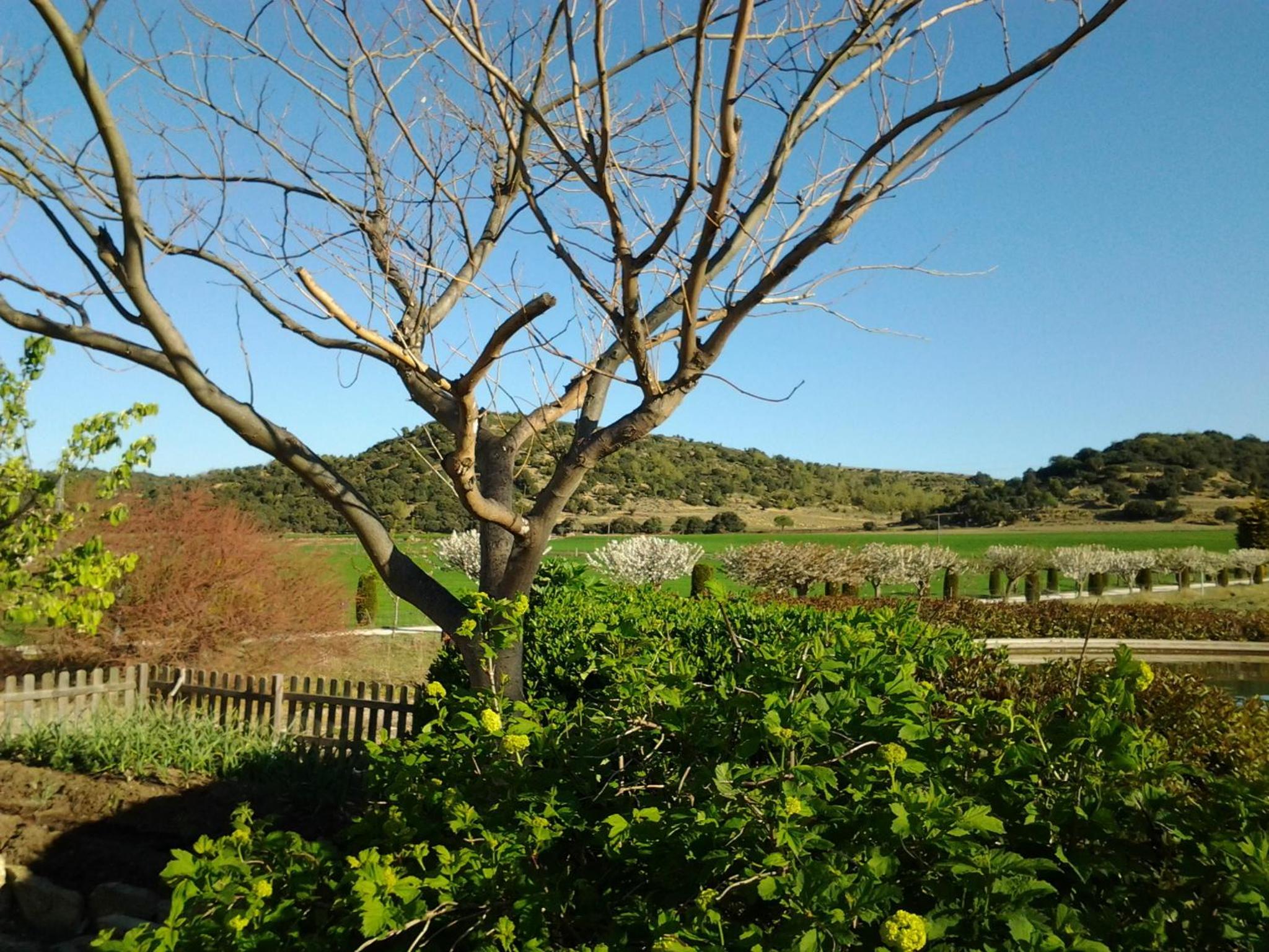 Casa Rural Torre Gargallo view 4