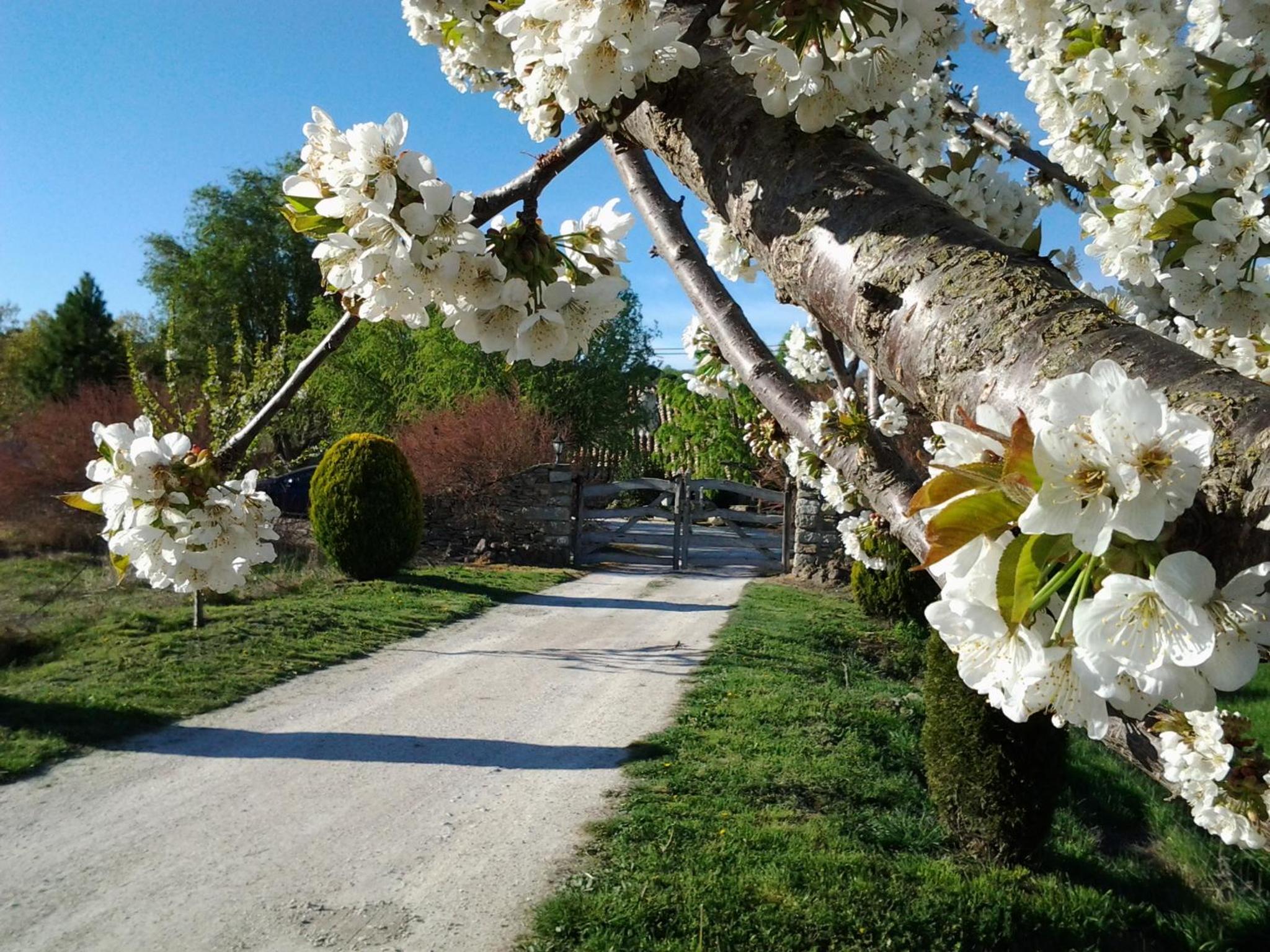 Casa Rural Torre Gargallo view 5