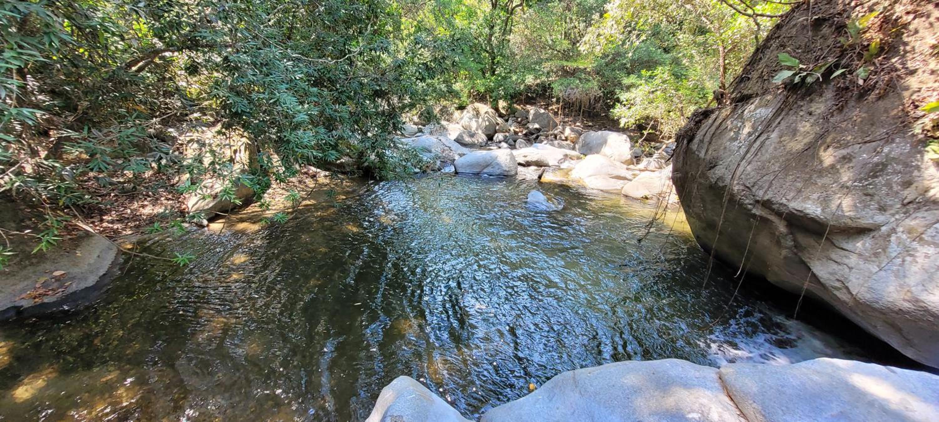 Sierra Jungla