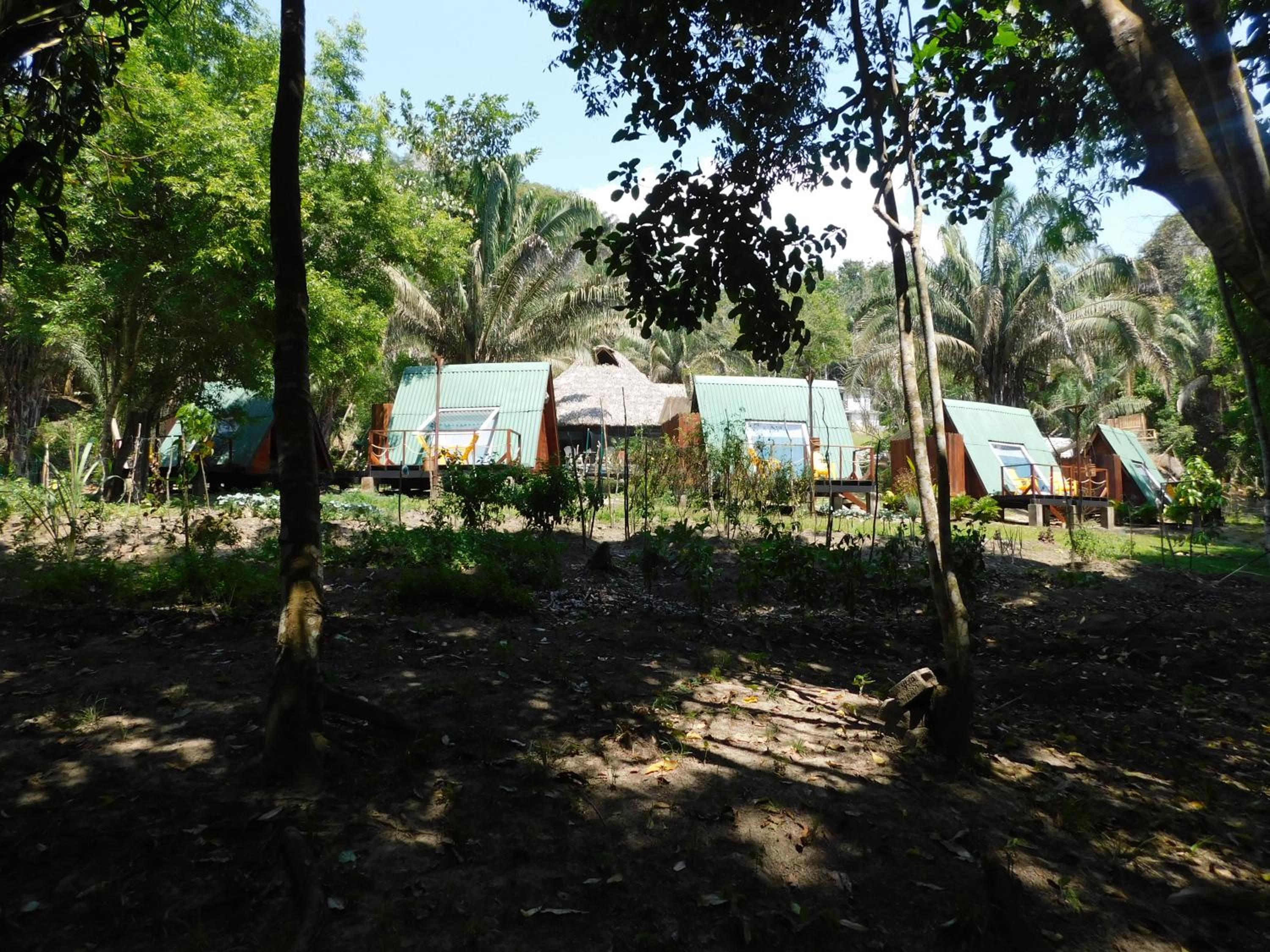 Sierra Jungla