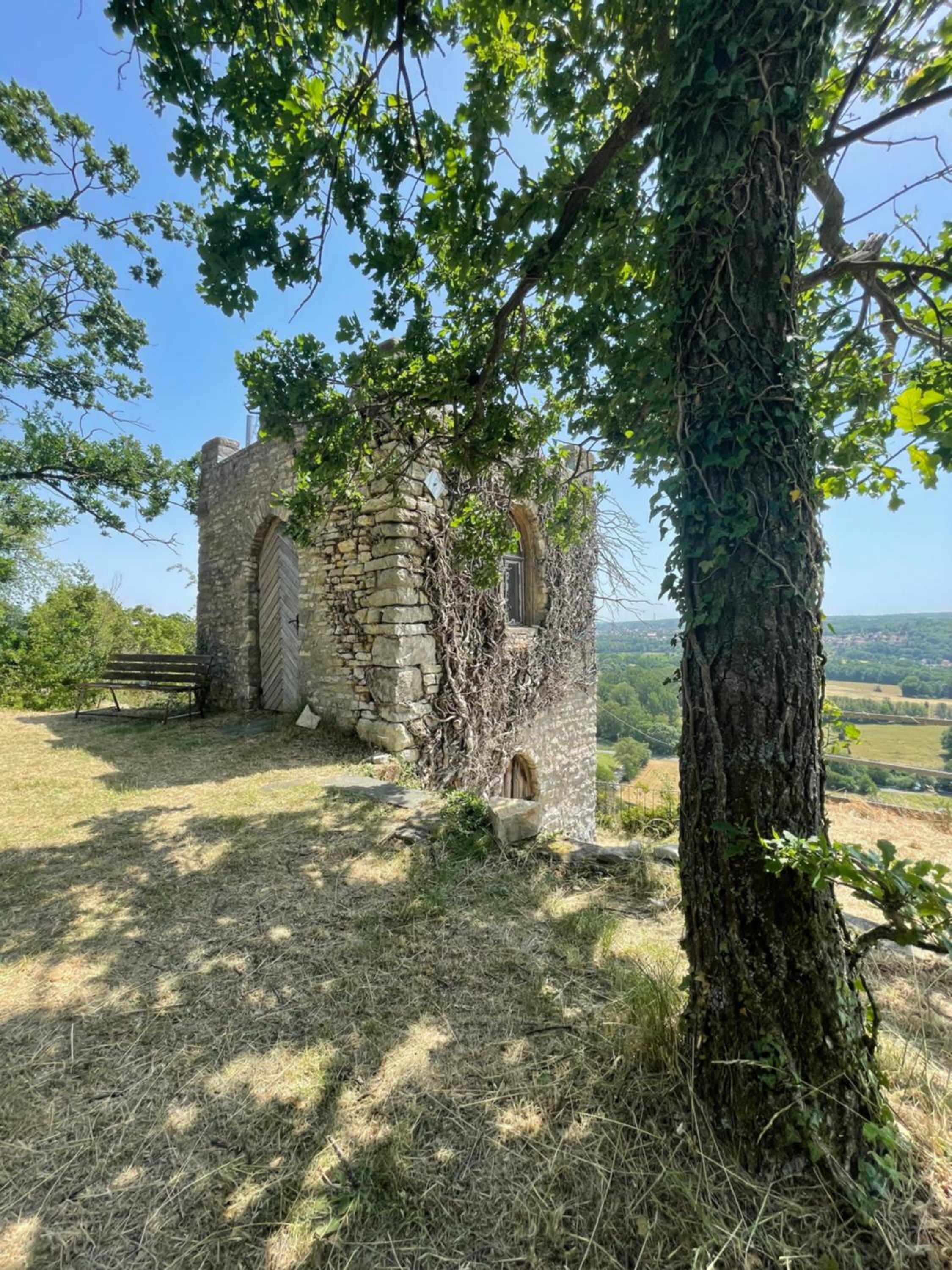 Ferienhaus Portugieser auf dem Weinberg