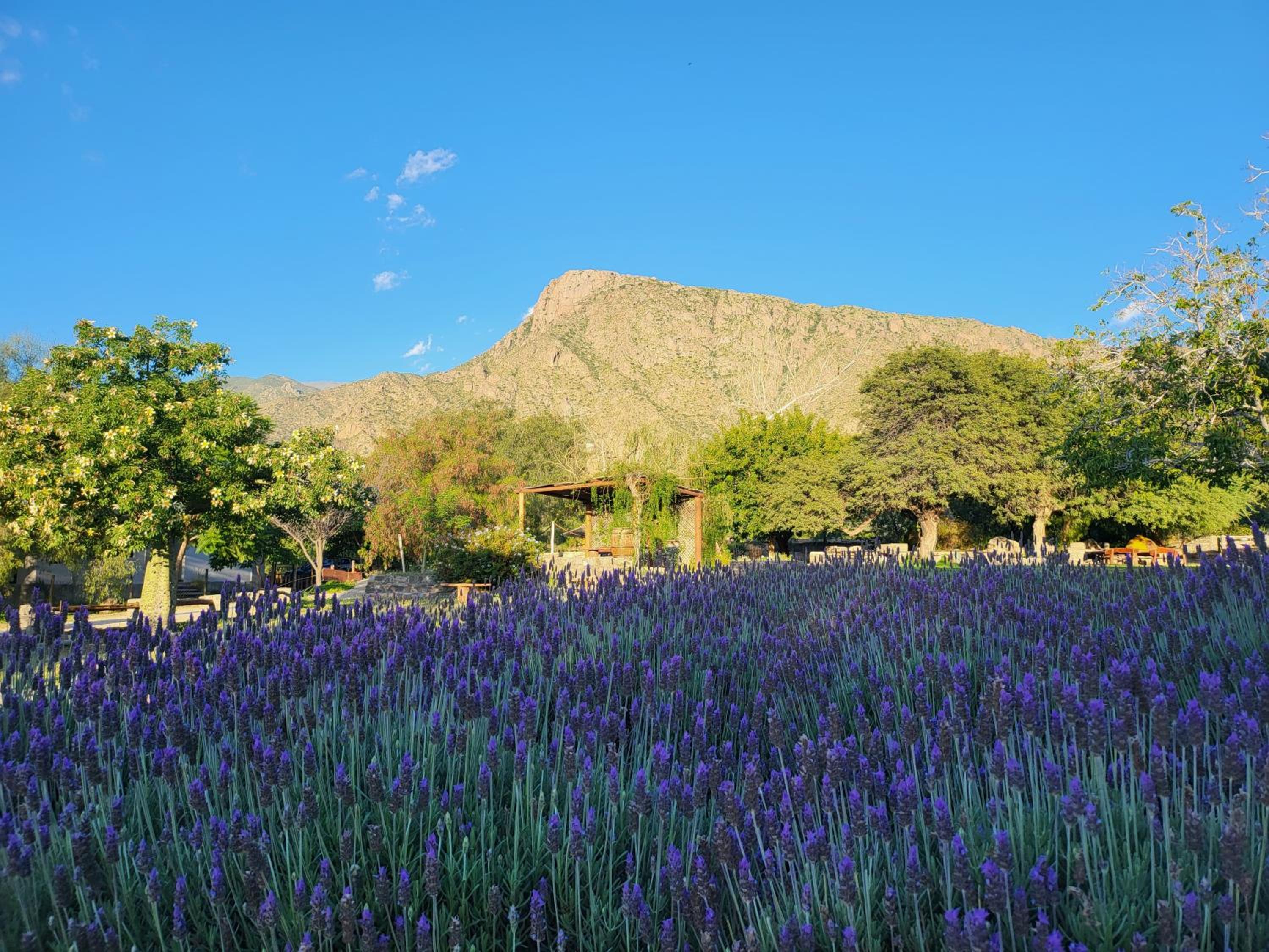 Casa Merlot - Viñedos de Cafayate Alquiler Temporario