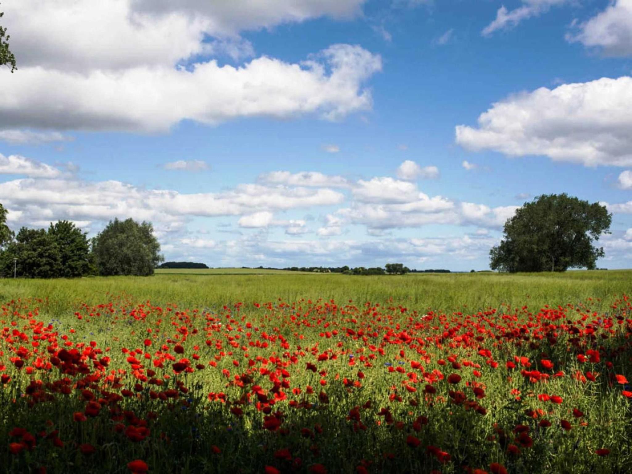 Landschek, Ferienhaushälfte