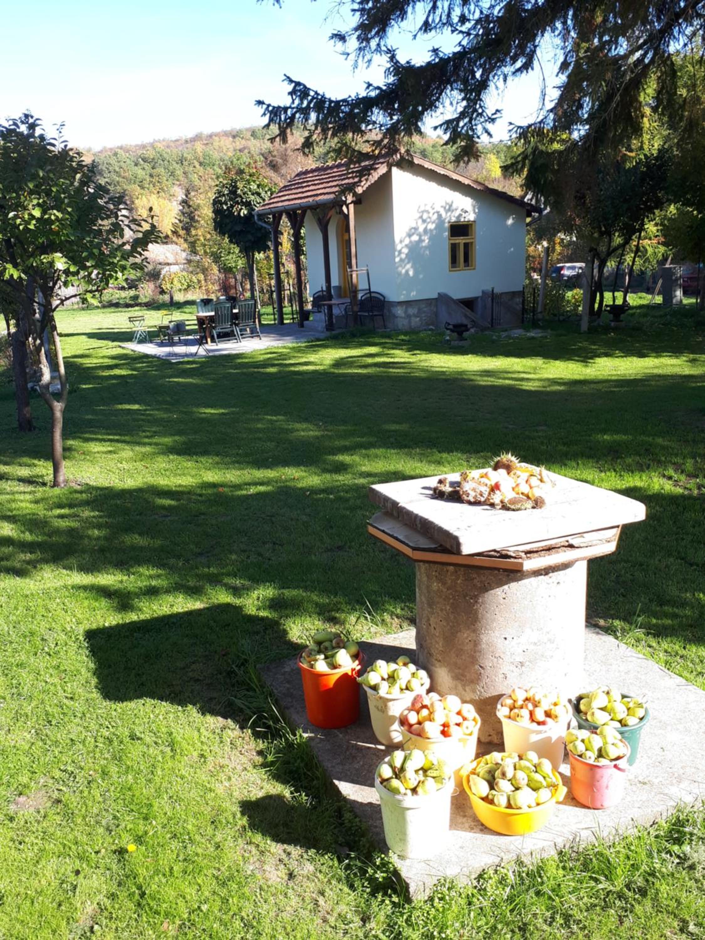 Photo 19