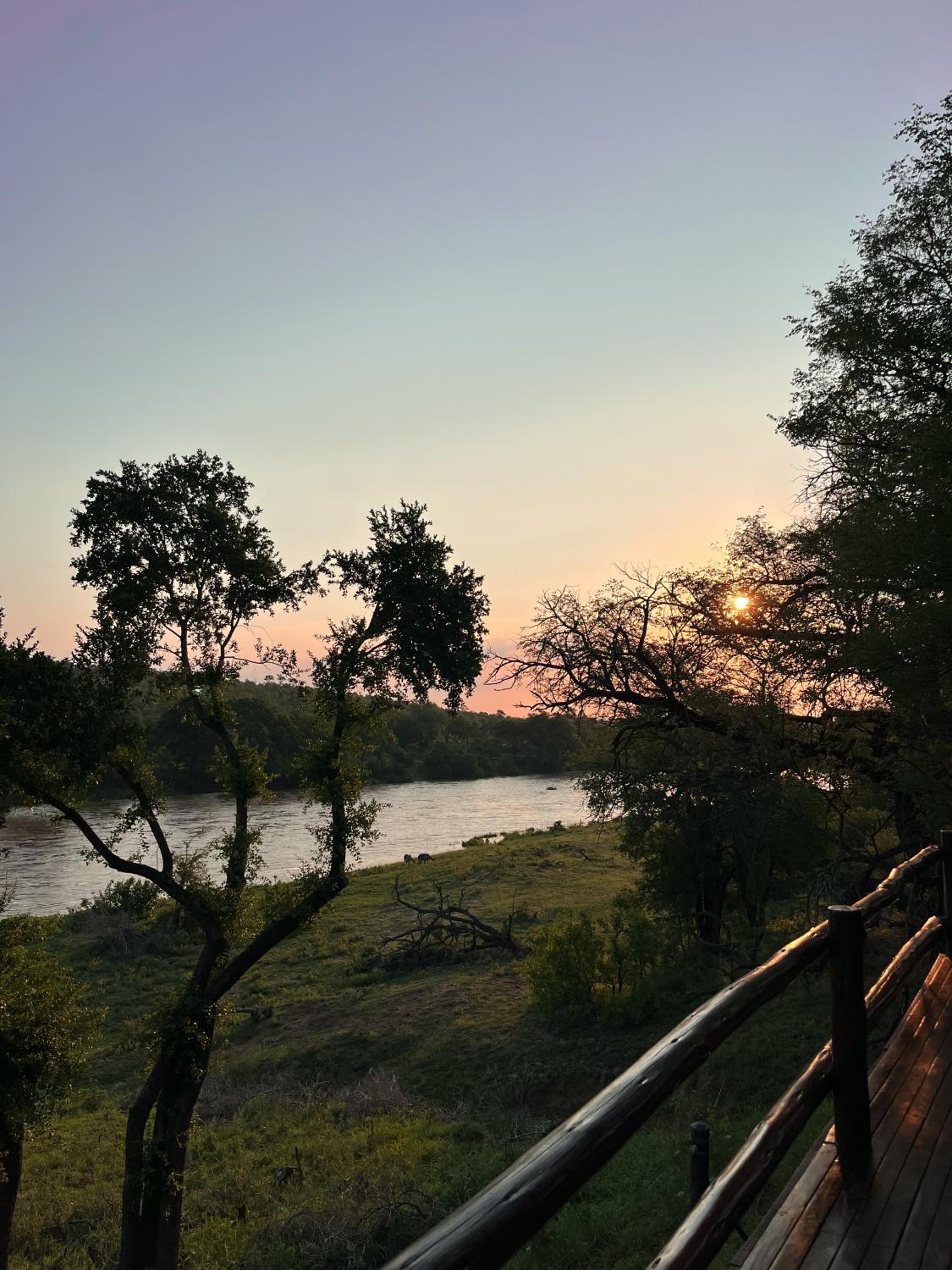 Nyati Safari Lodge
