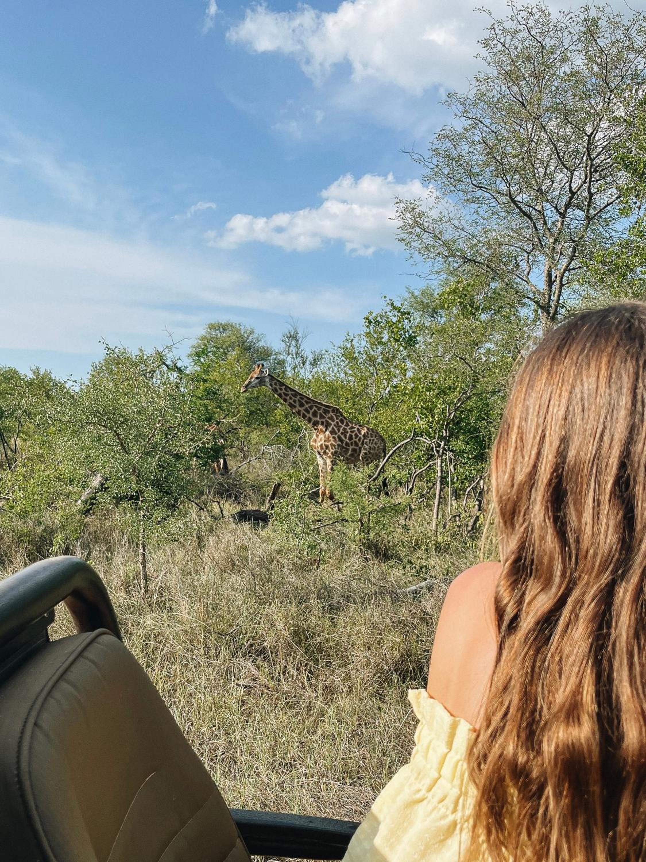 Nyati Safari Lodge