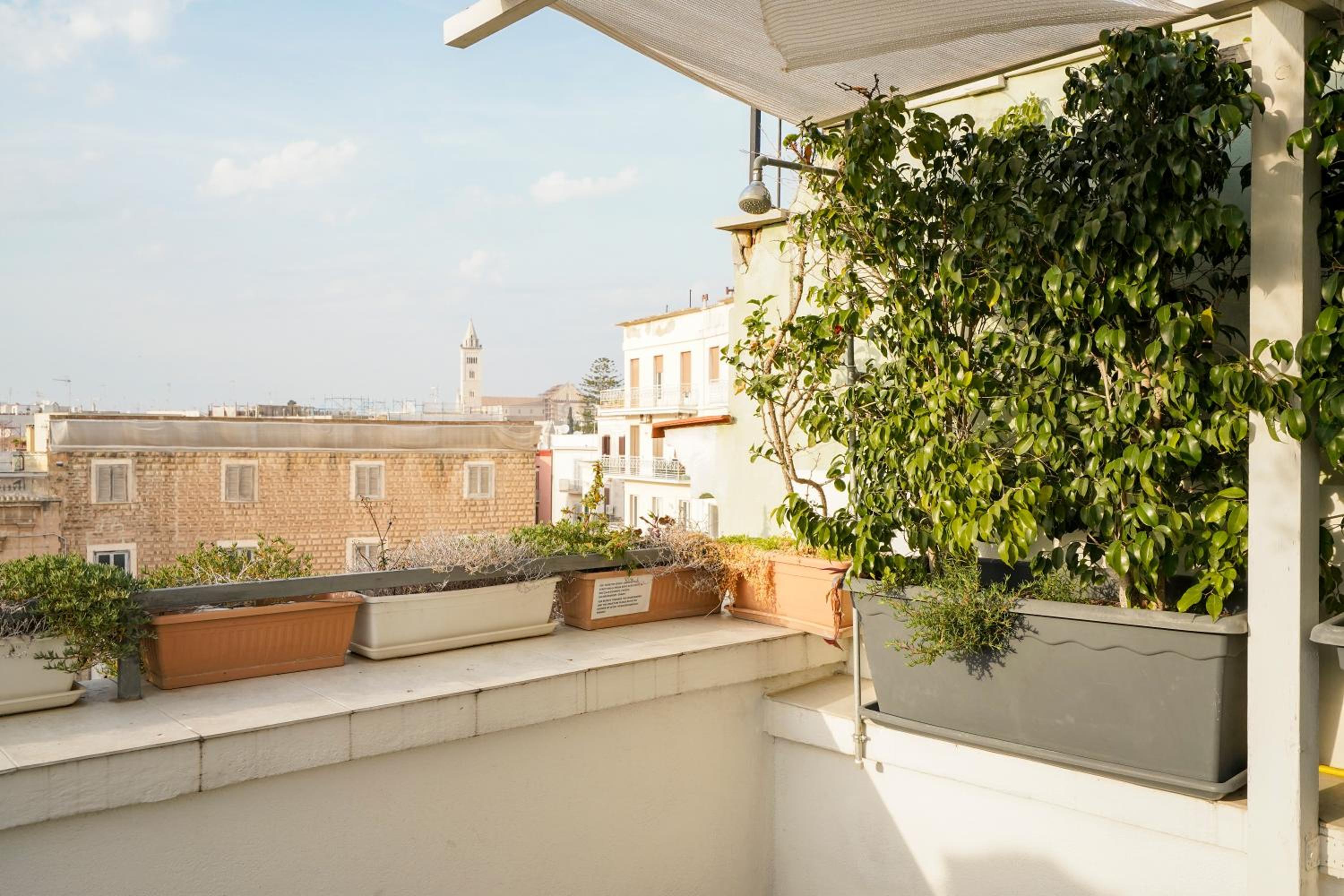 Winnili Apartments photo 3