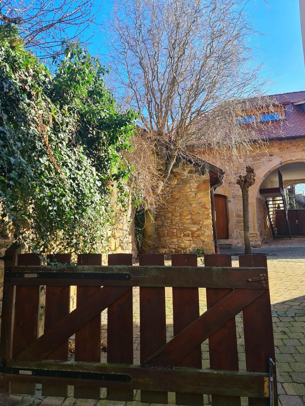 Genussvolle Auszeit beim Winzer-Apartment Biengarten