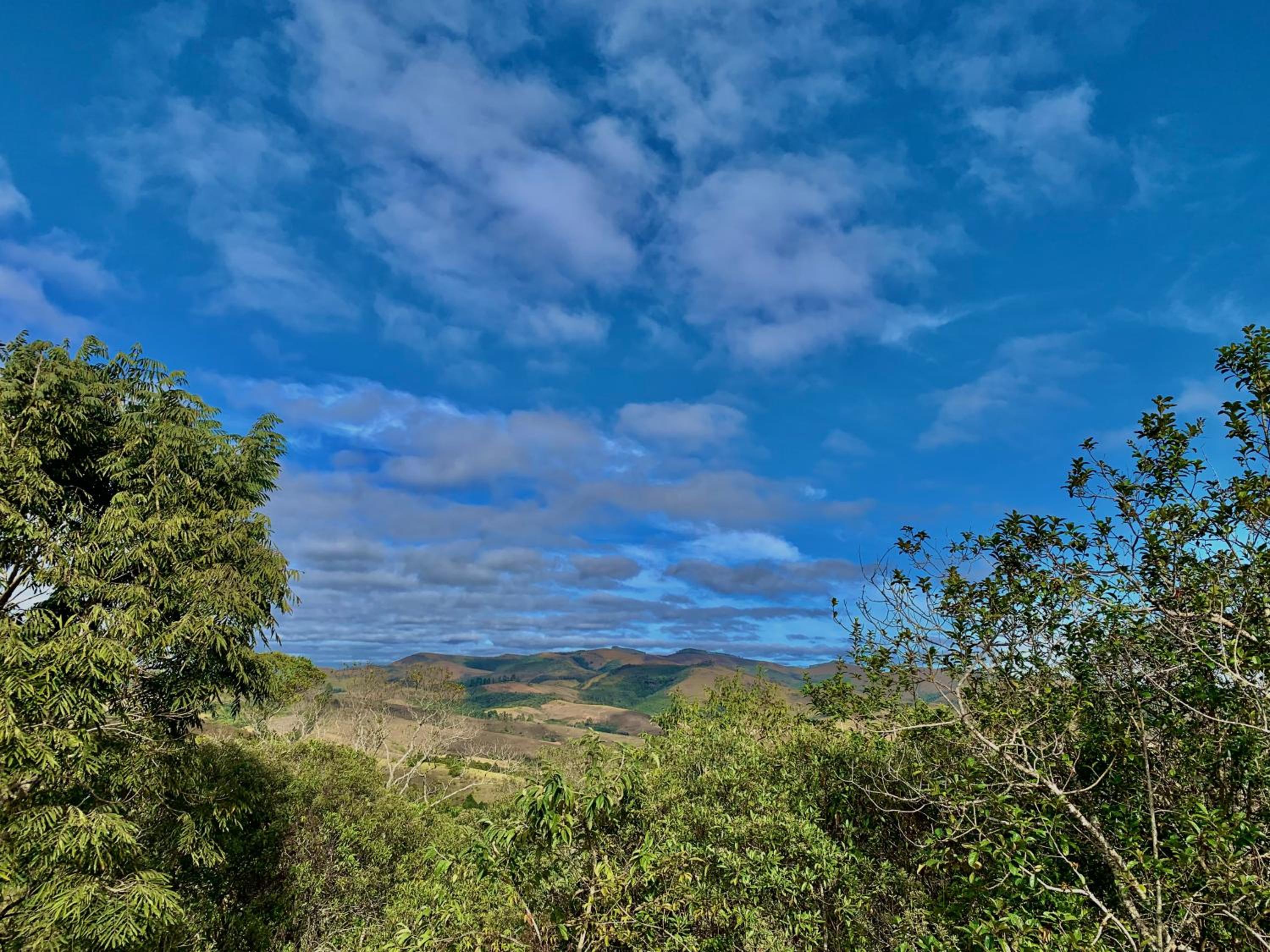 August de Saint Hilaire/ Reserva Alto da Colina view 4