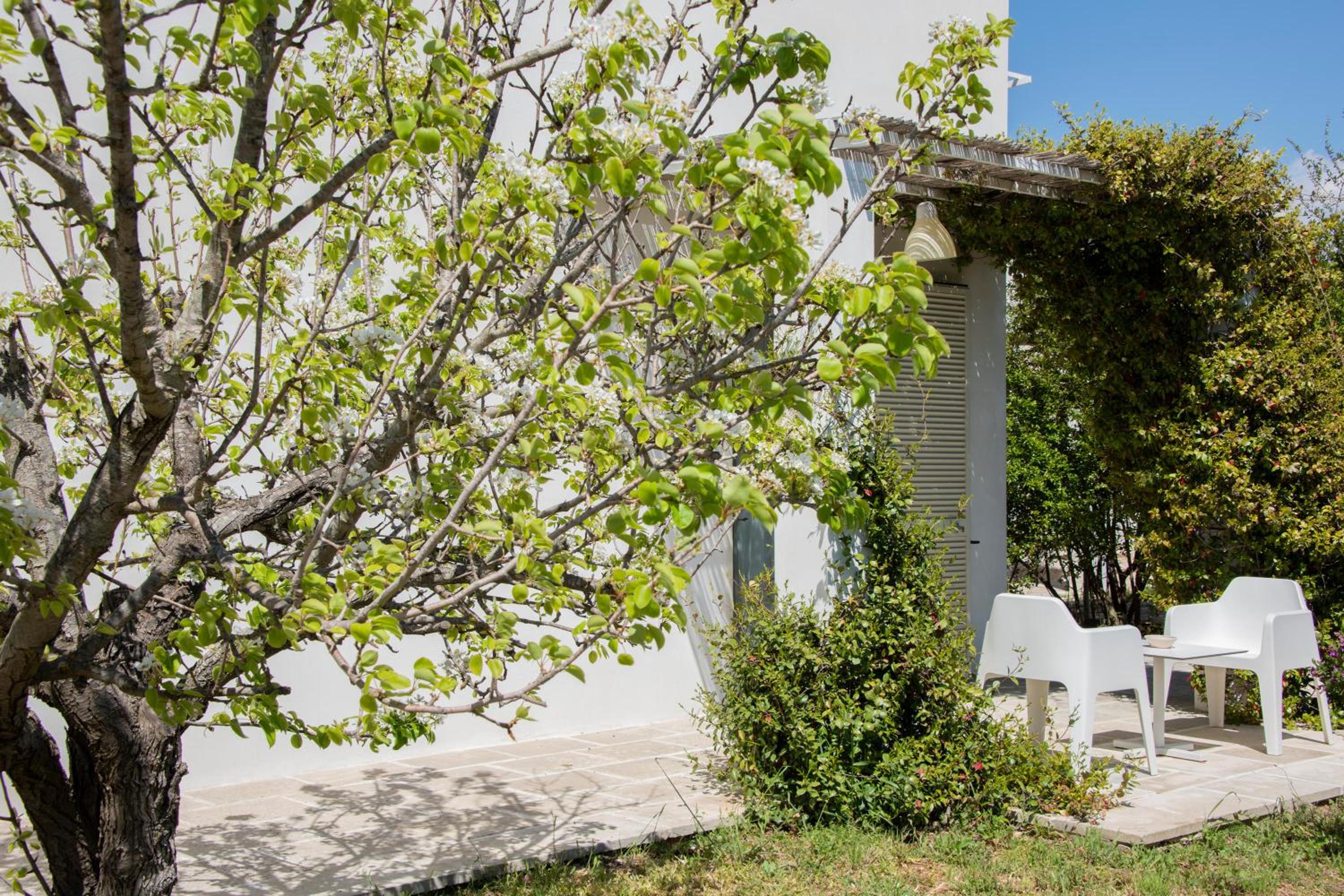 Masseria Agriturismo Faresalento
