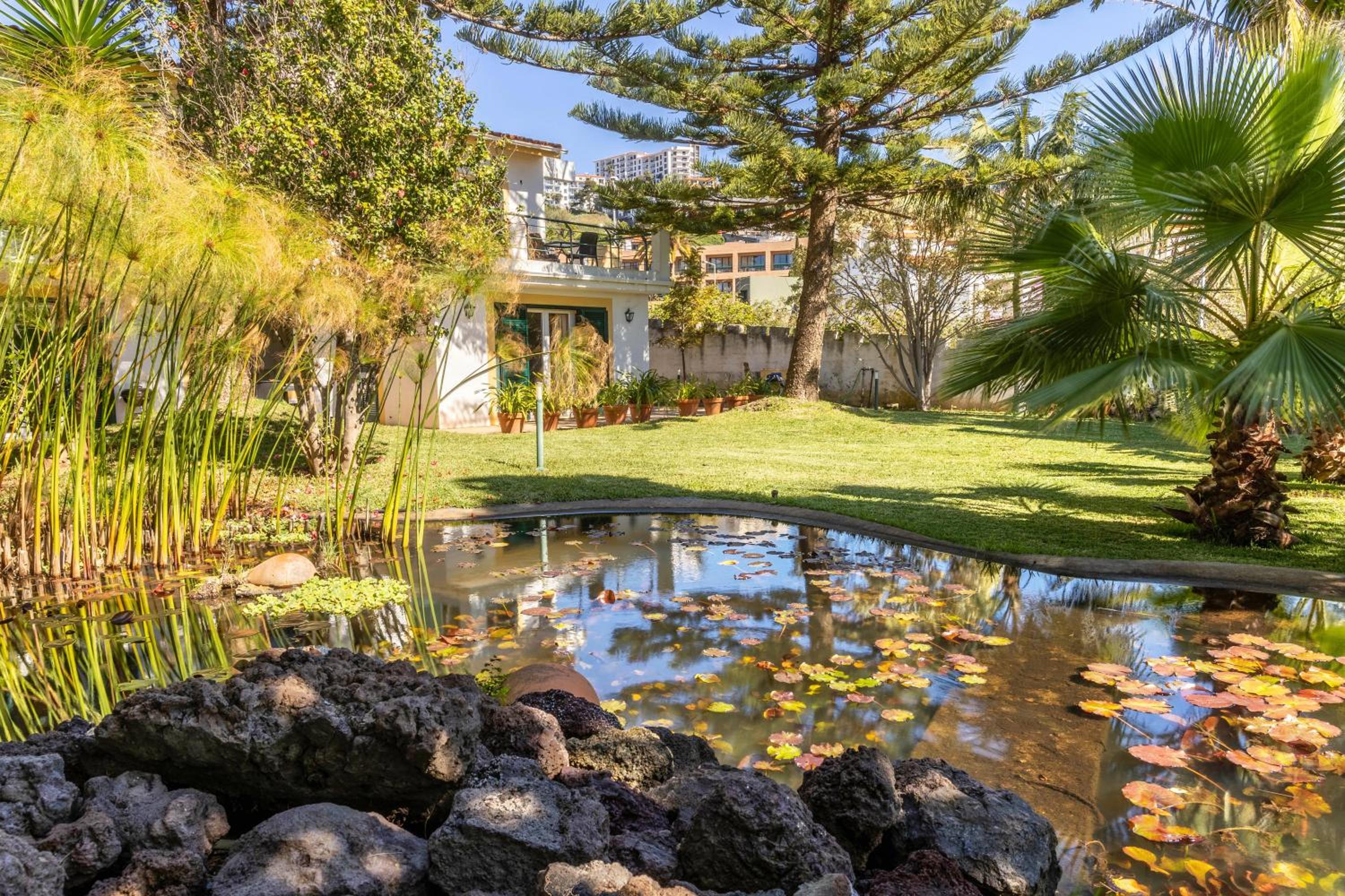 Villa Echium T1 view 2