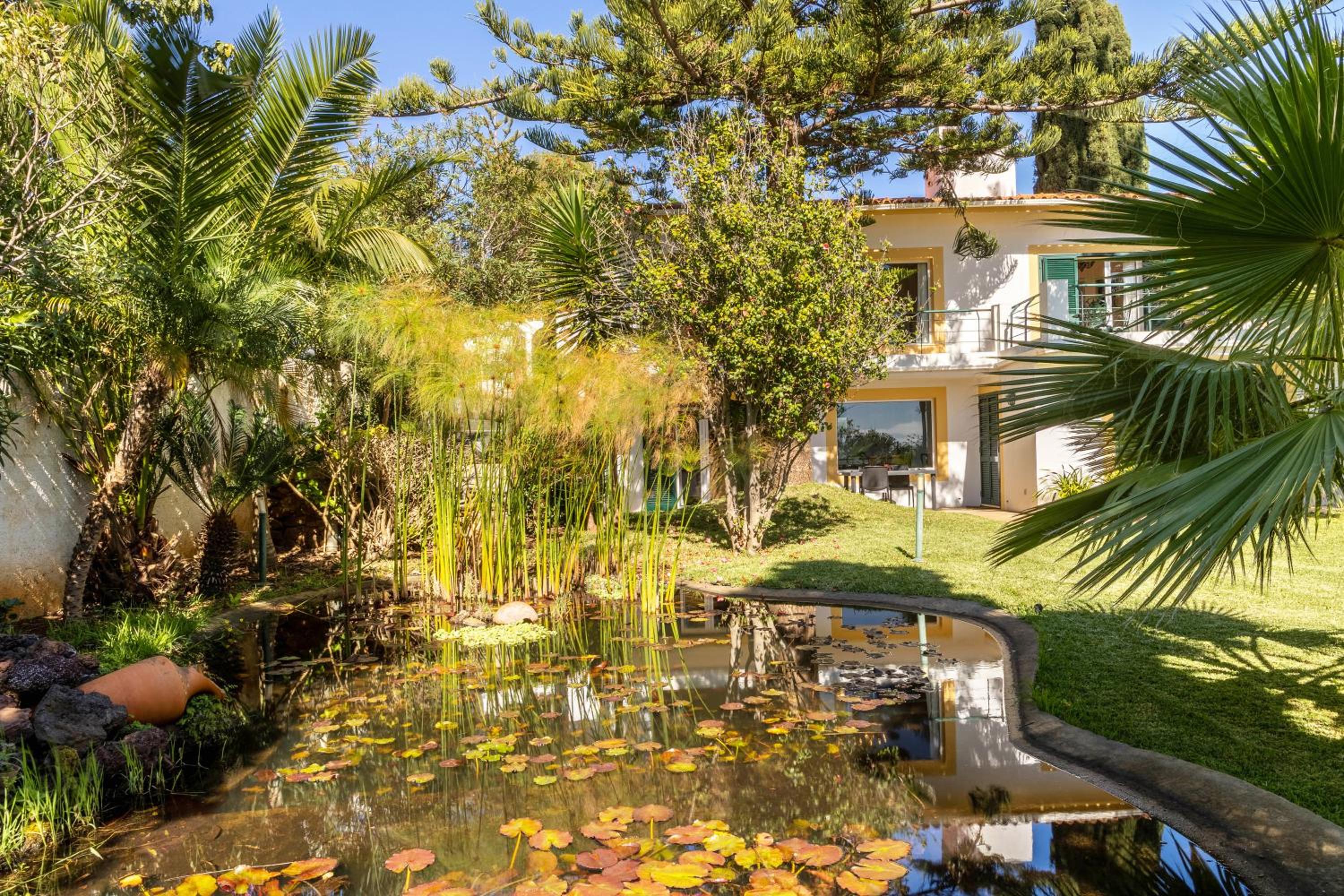 Villa Echium T1 view 3