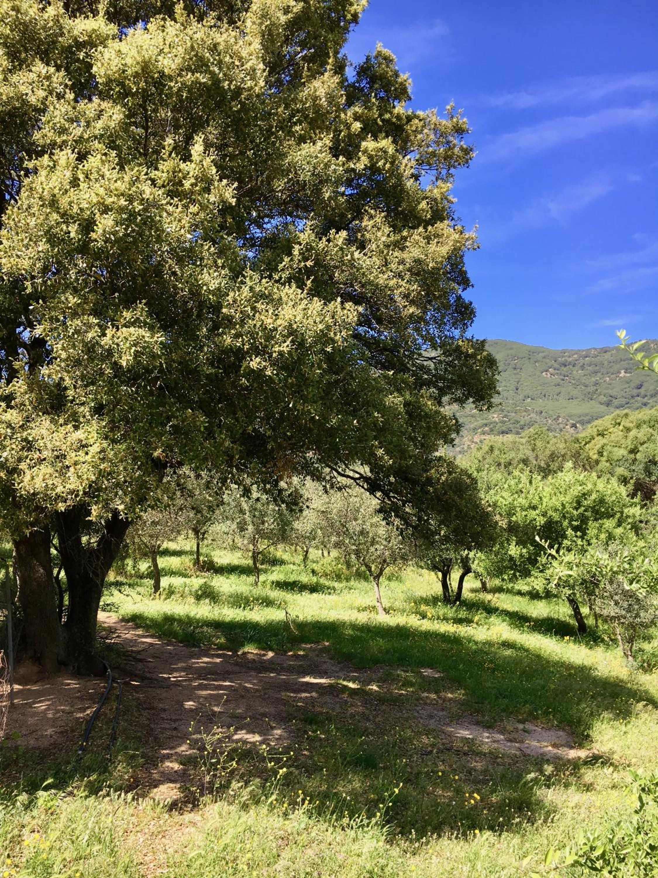 Agriturismo Asara