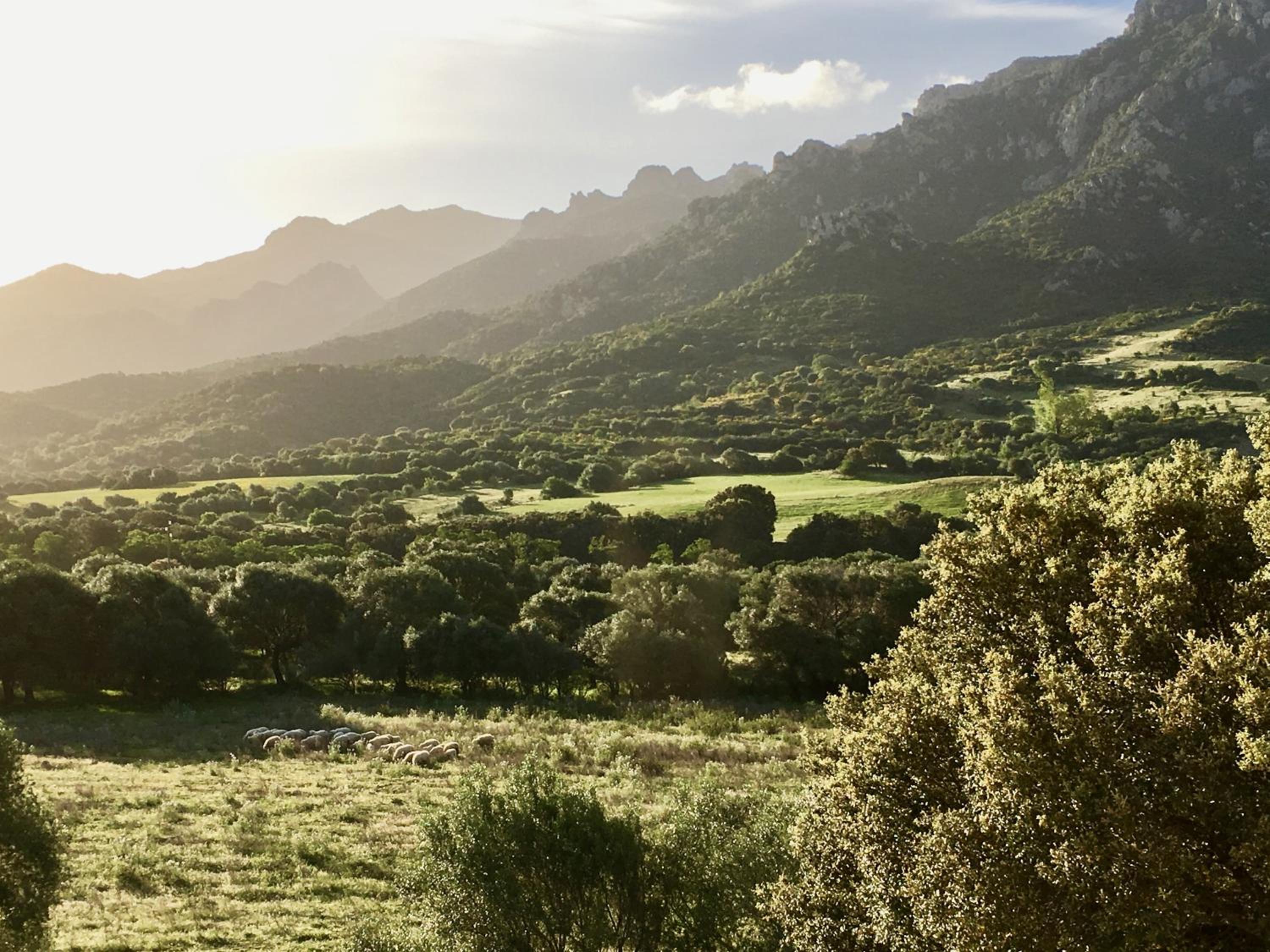 Agriturismo Asara