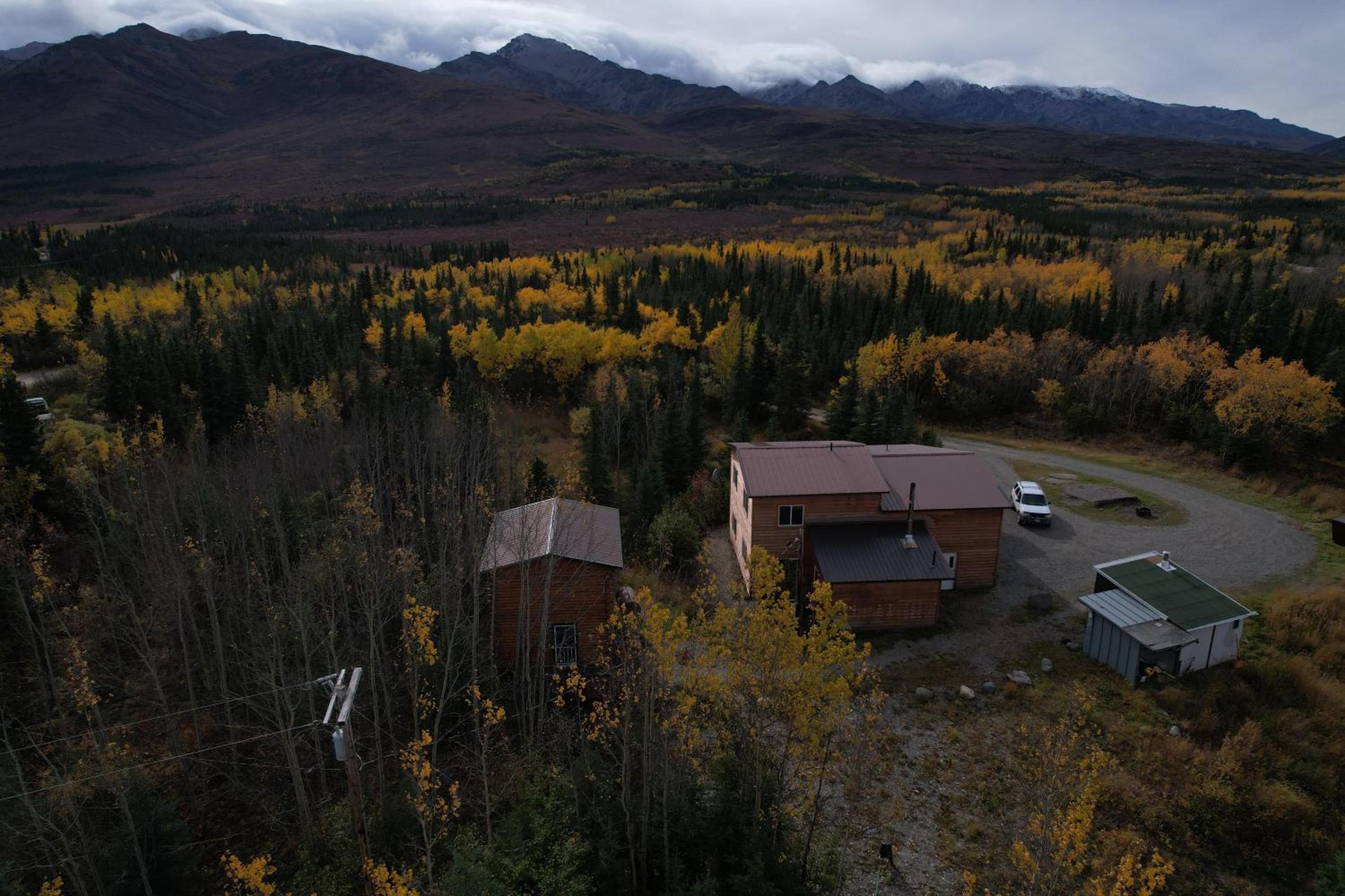 Denali Park View Family Log Cabin view 2