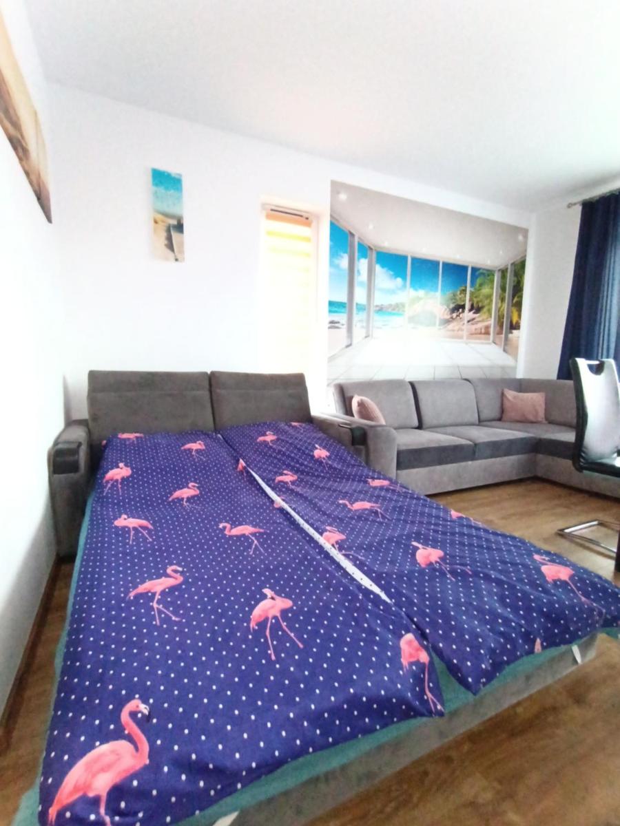 Flamingo 19 view 5