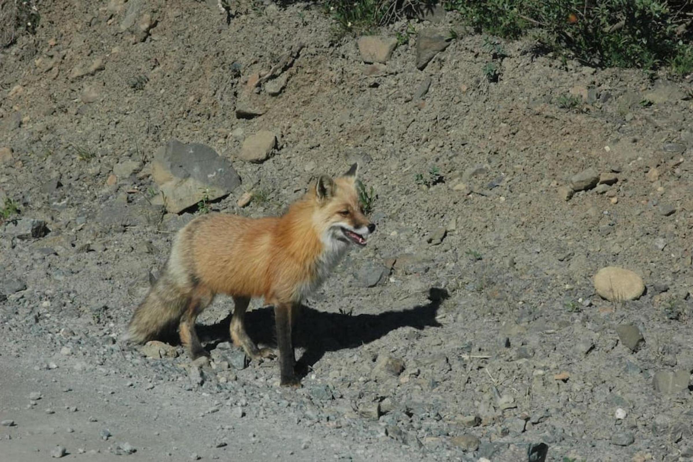 Photo 26