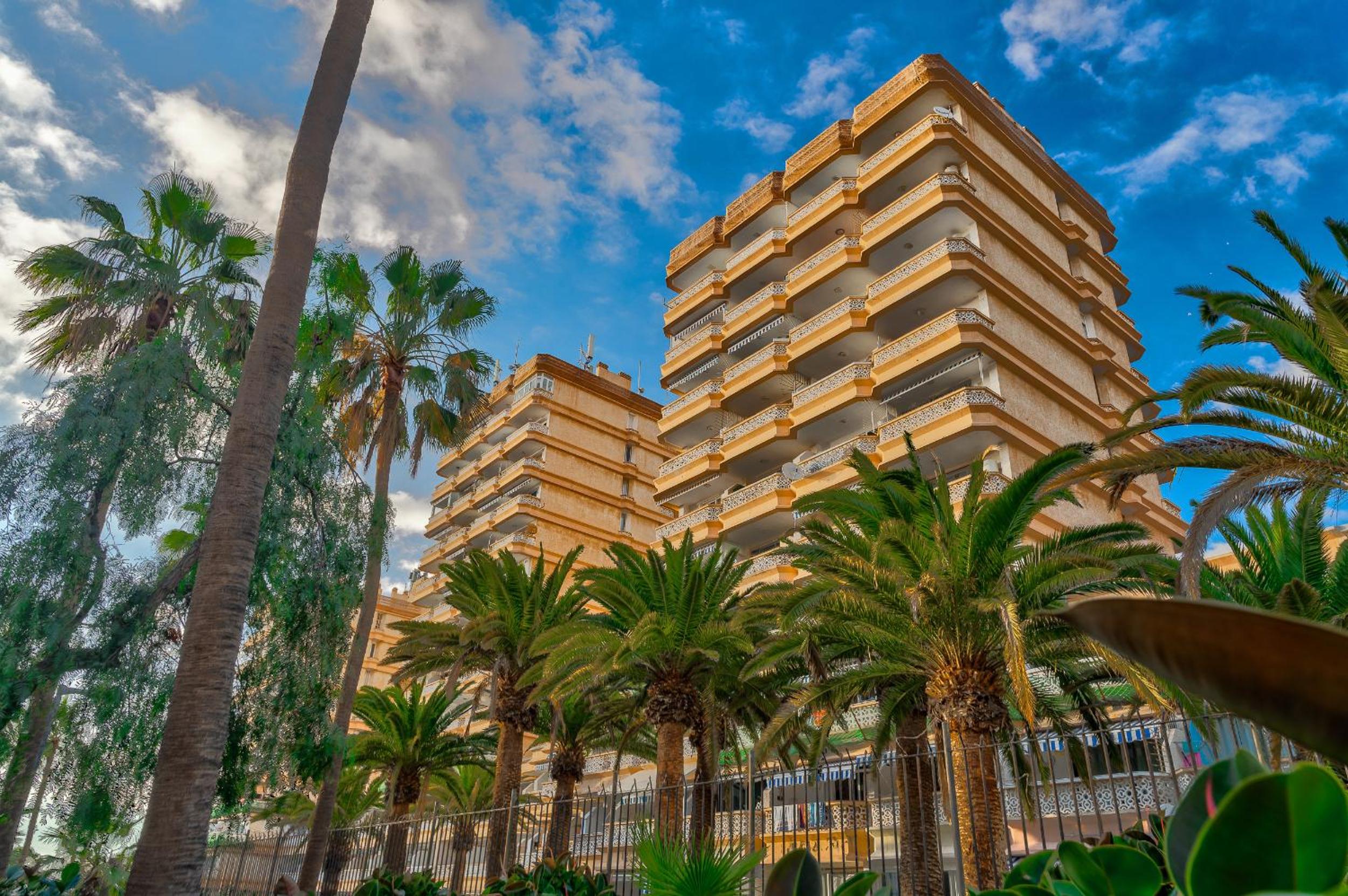 Las Americas Panoramic View