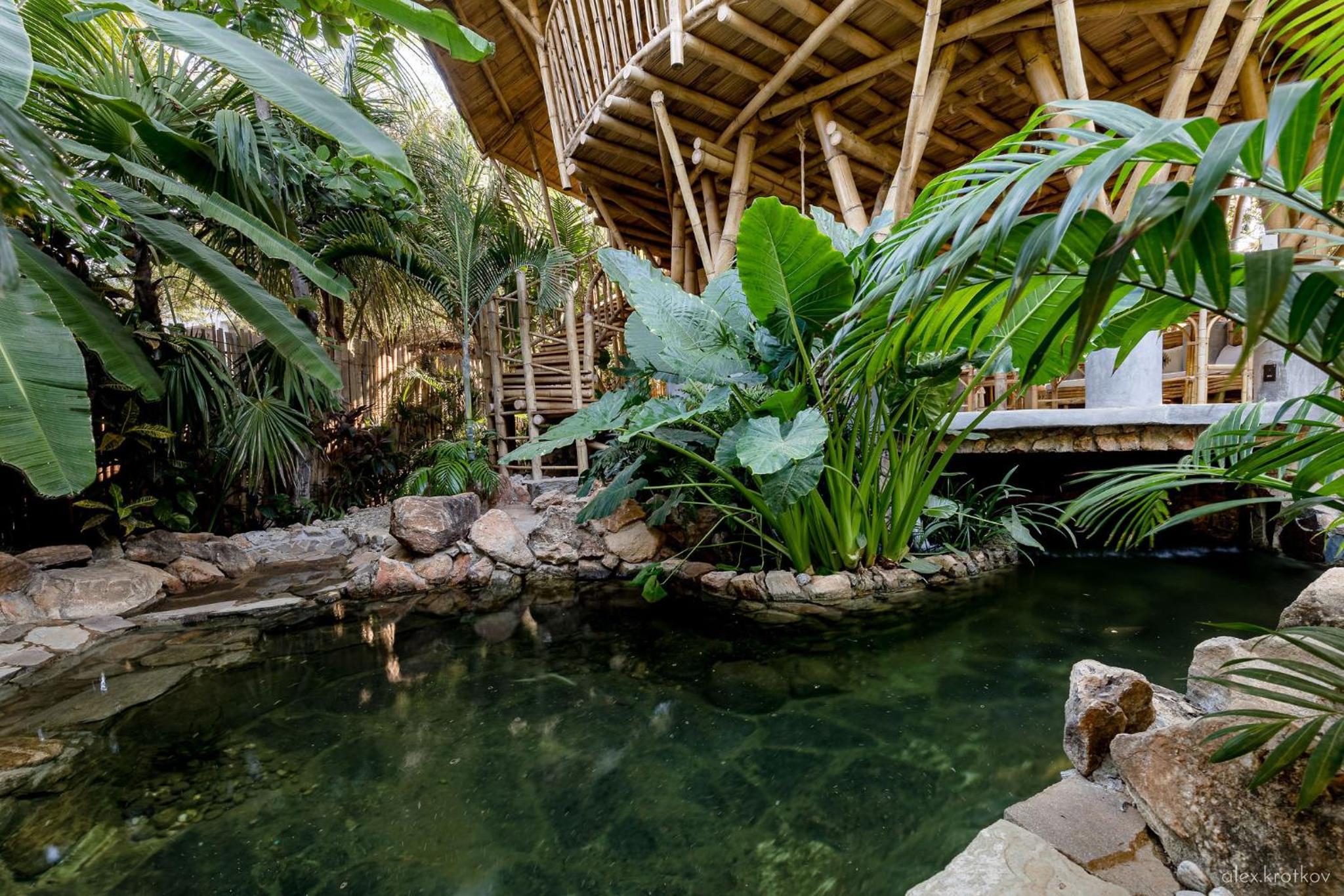 Bamboo Tree House romantic & luxury retreat view 3