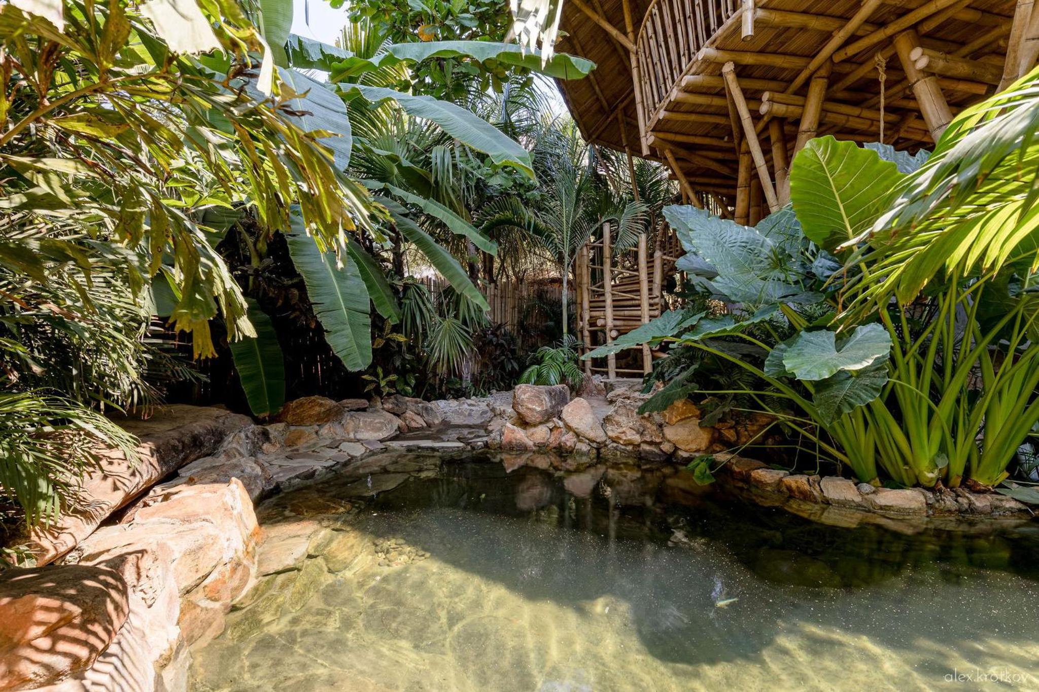 Bamboo Tree House romantic & luxury retreat view 5
