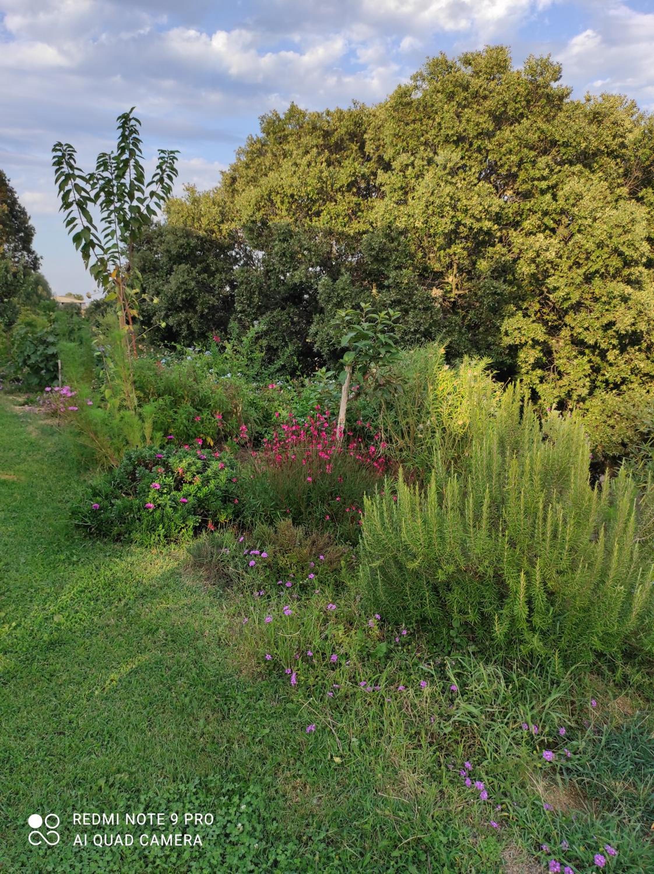 Agriturismo Asara
