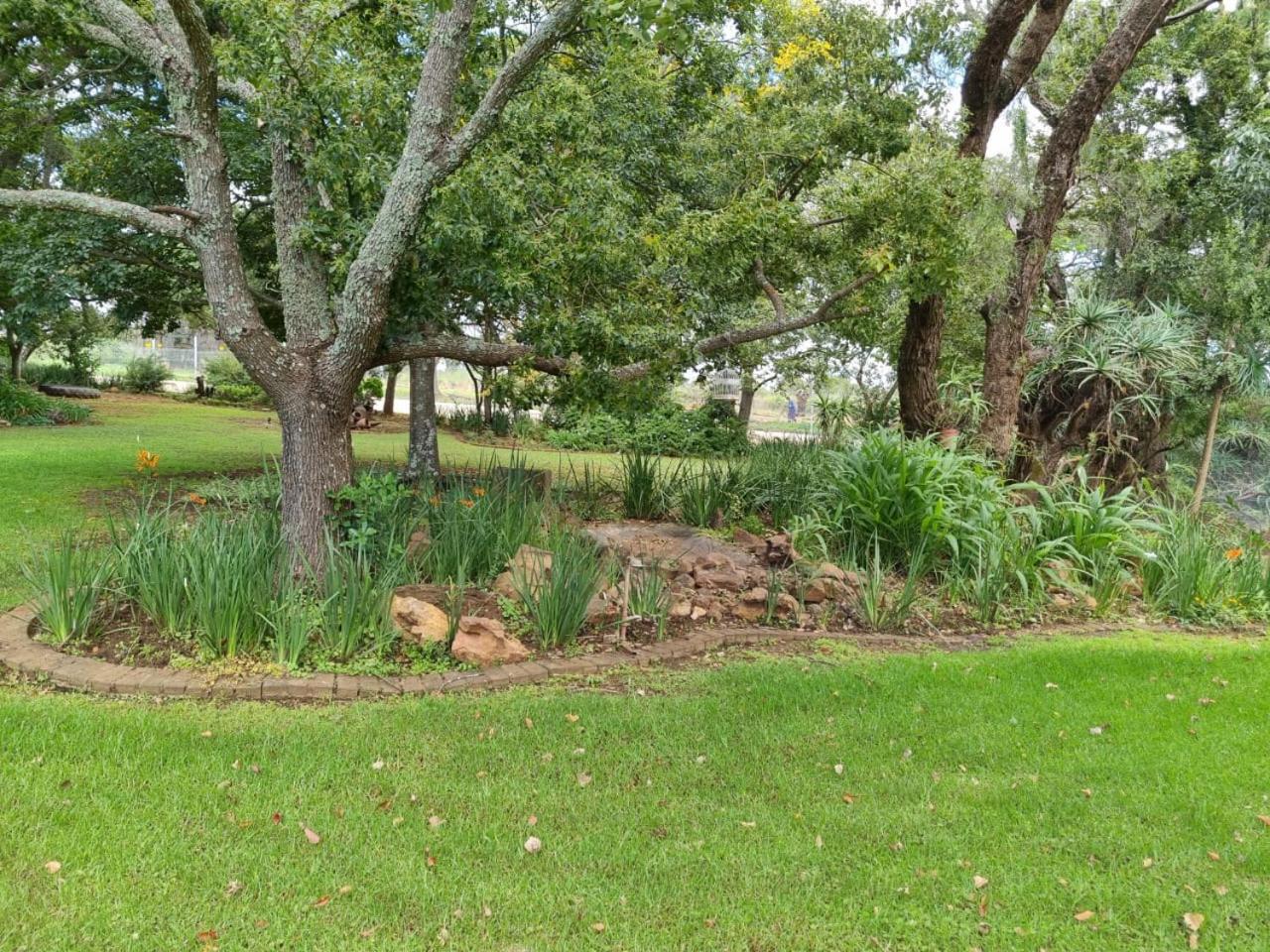 Longtom Farm Guesthouse view 5