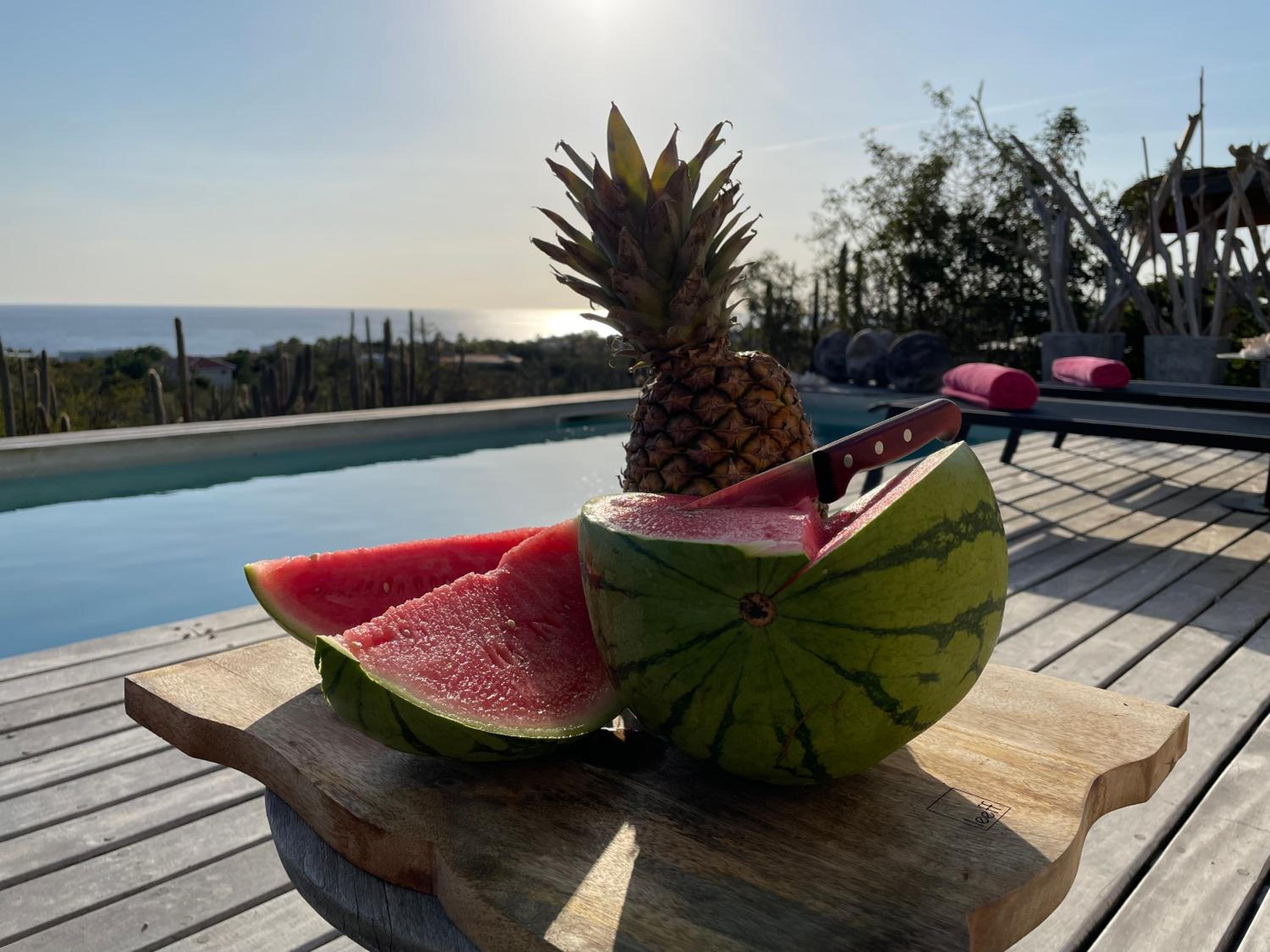 Caribbean Oceanview Villa