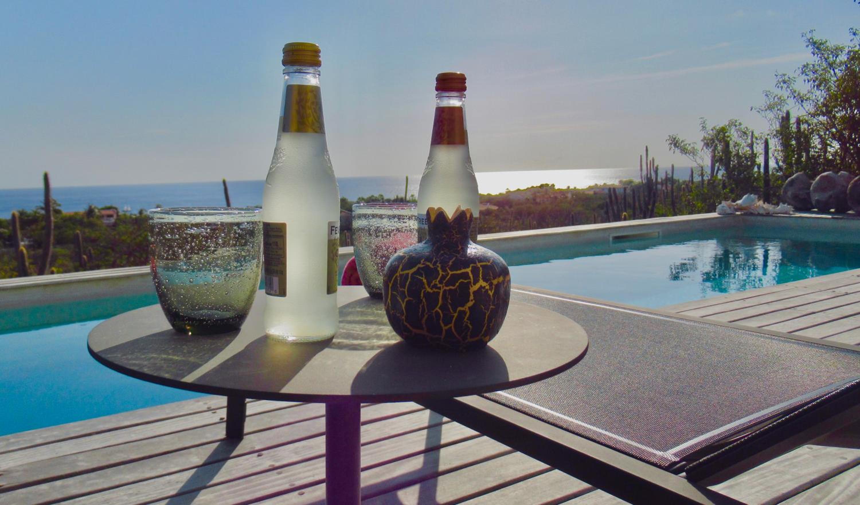 Caribbean Oceanview Villa