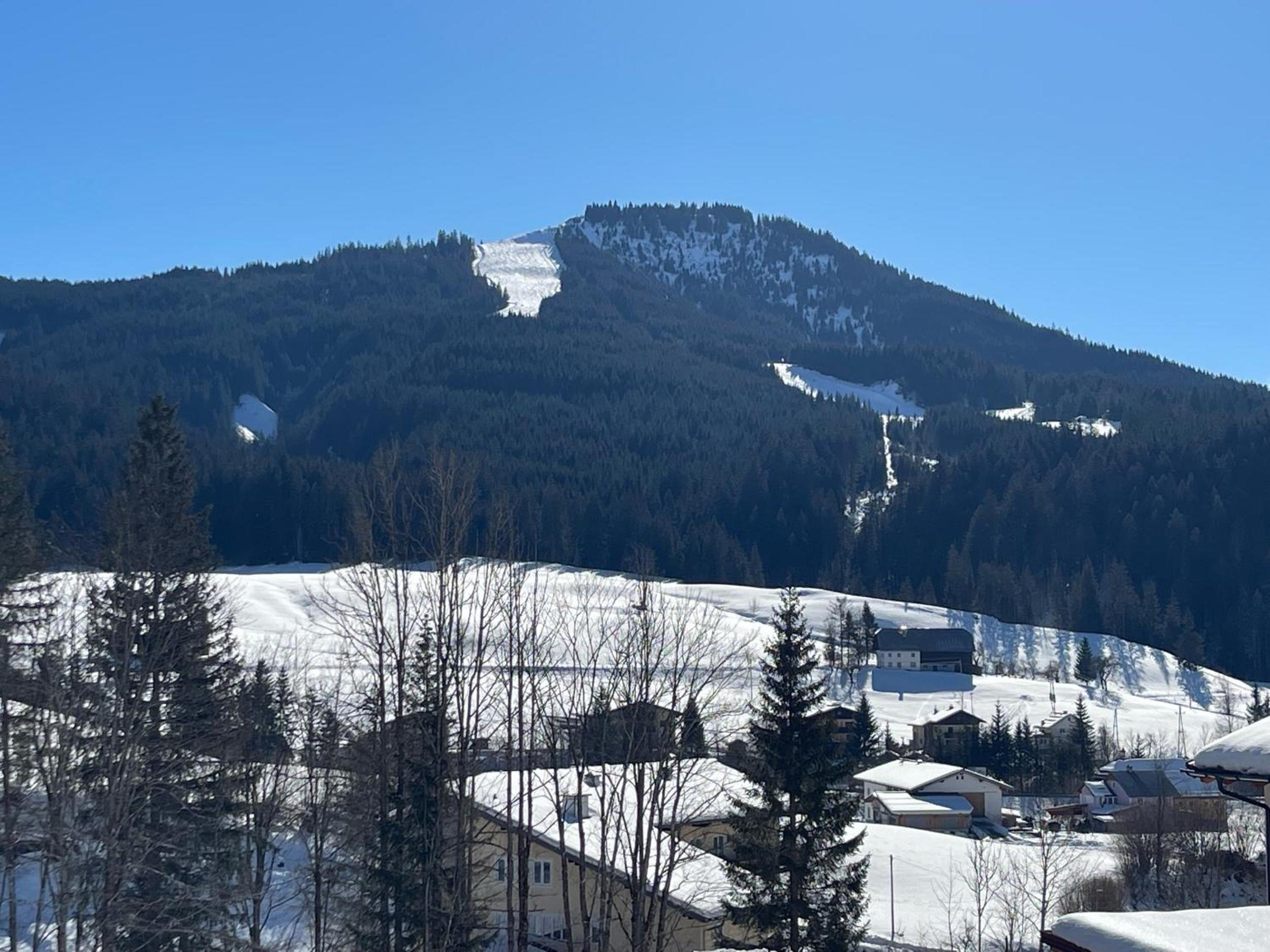 Dachstein Chalet