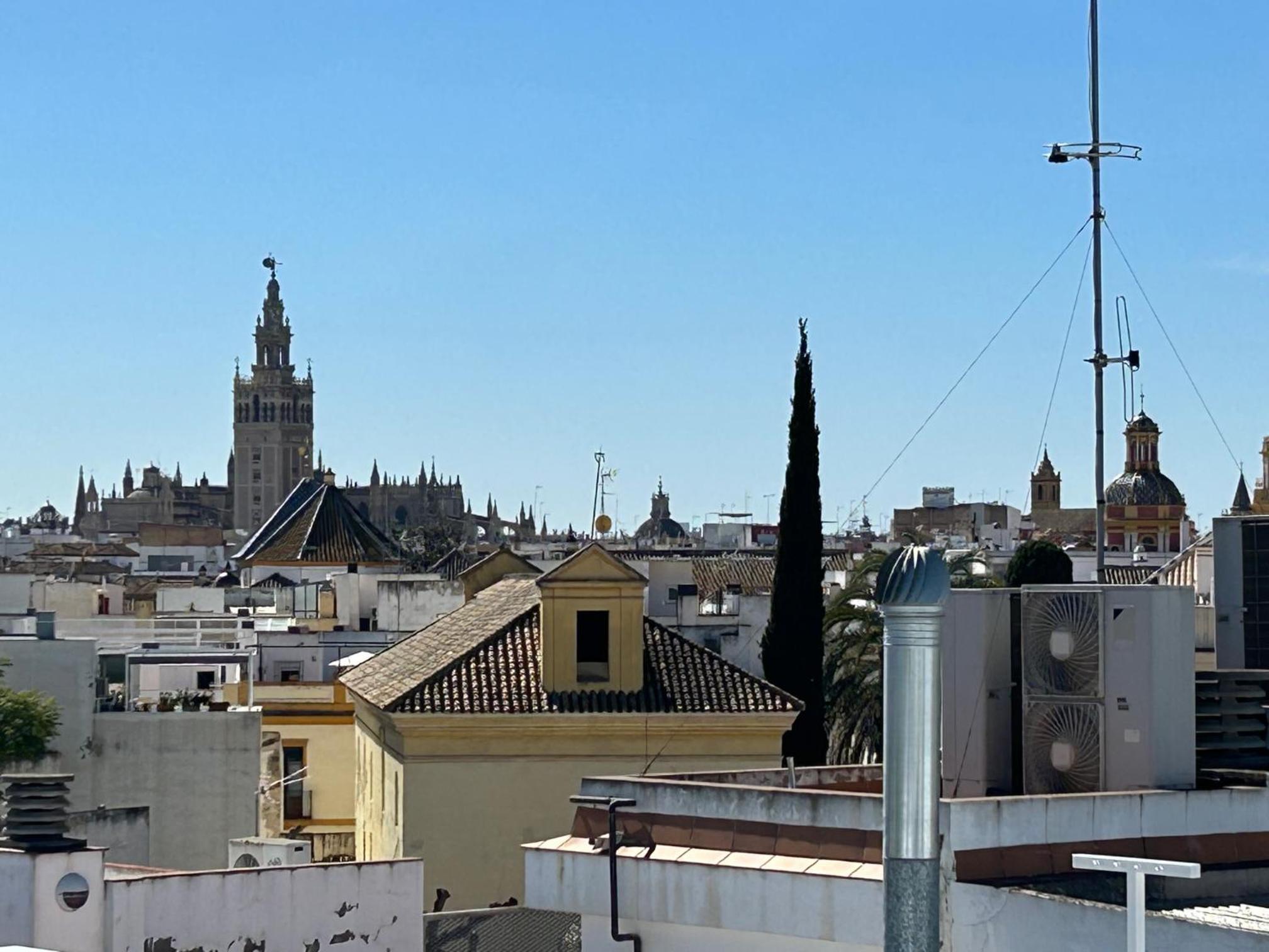 HISPALIS SETAS DE SEVILLA