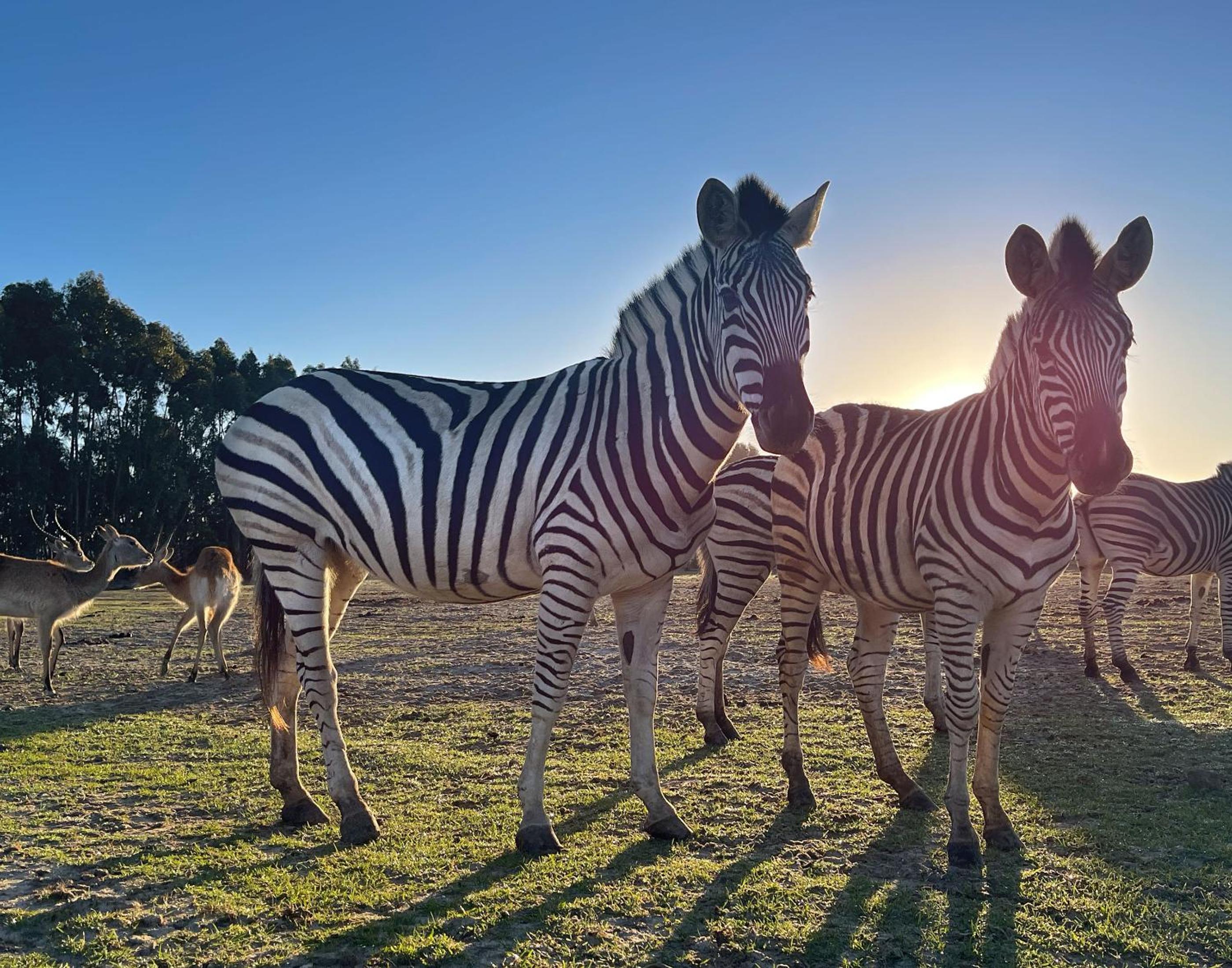 Kuanza Farmhouse and Lodge view 5