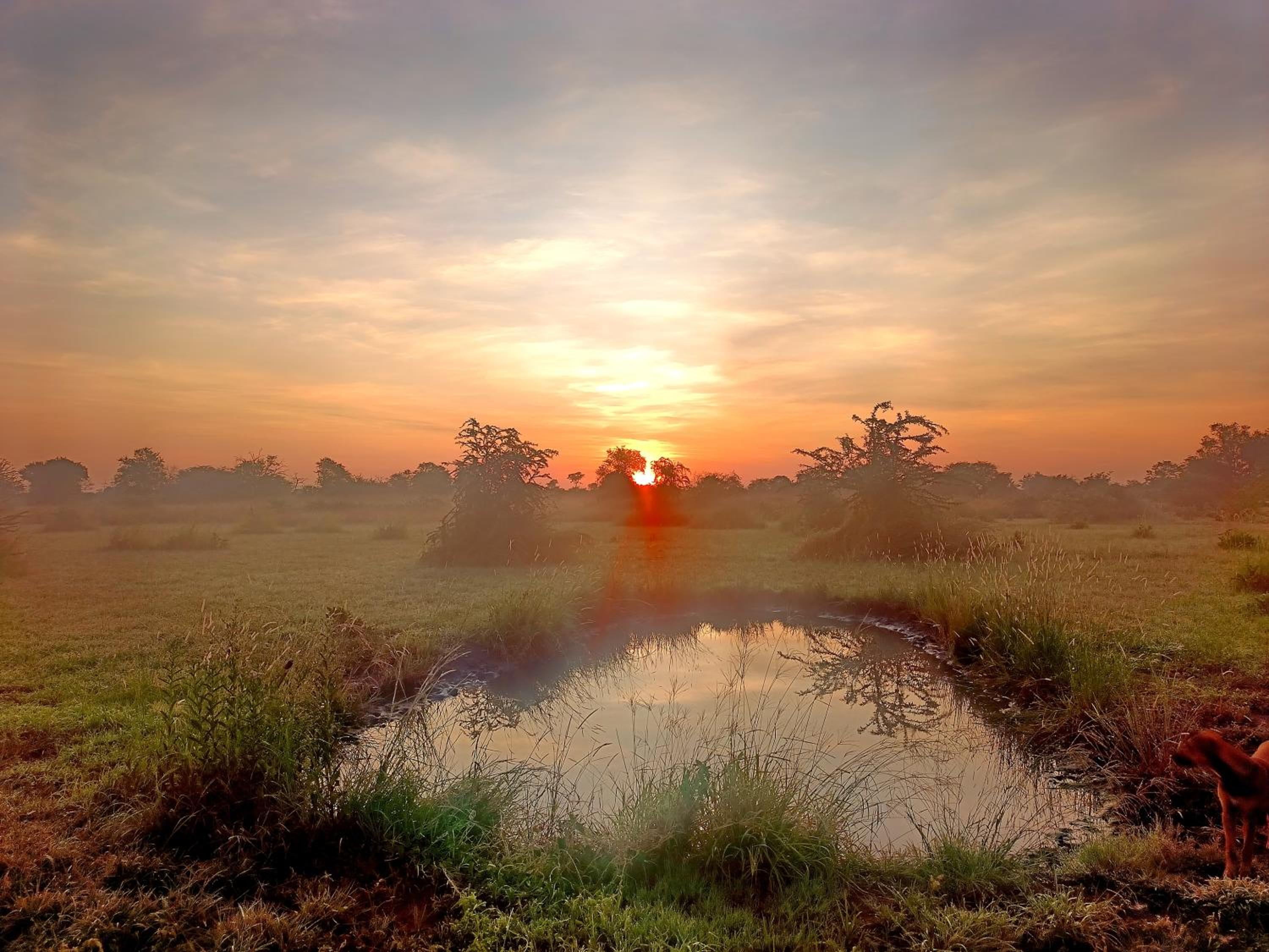 Chobe Hideaway